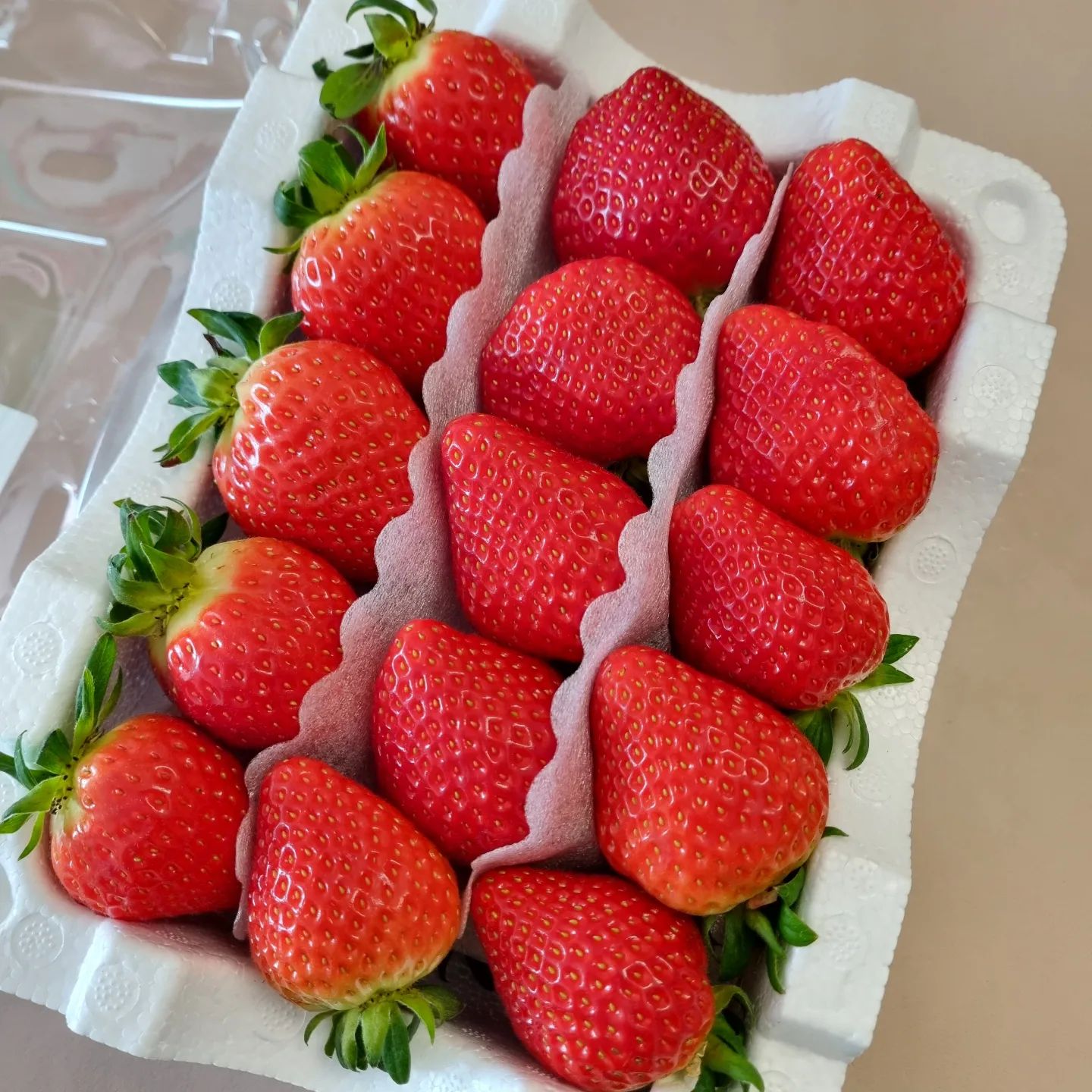 🍓딸기값이 내리질 않네요.🥲
2만 2천원 주고 사온 딸기..첫째 줄만 큼직하고 좋은거고 아래는 작고 안좋을까 걱정했는데 다행히 아랫줄도 좋네요!

제주도에서 도착한 흑돼지 오겹살.
미나리 듬뿍 넣어 구워 먹으니 꾸르맛💚

#아픈거낫자마자먹스타그램
#딸기 #제주흑돼지 #미나리