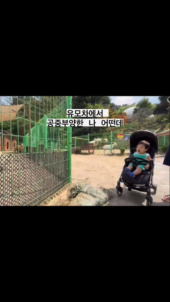 양이 소리질러서 깜놀한 줘니 유모차에서 살짝 엉덩이 뜬 것 같음😳 그 와중에 아빠 웃음 소리 뭔뎈ㅋㅋㅋㅋ