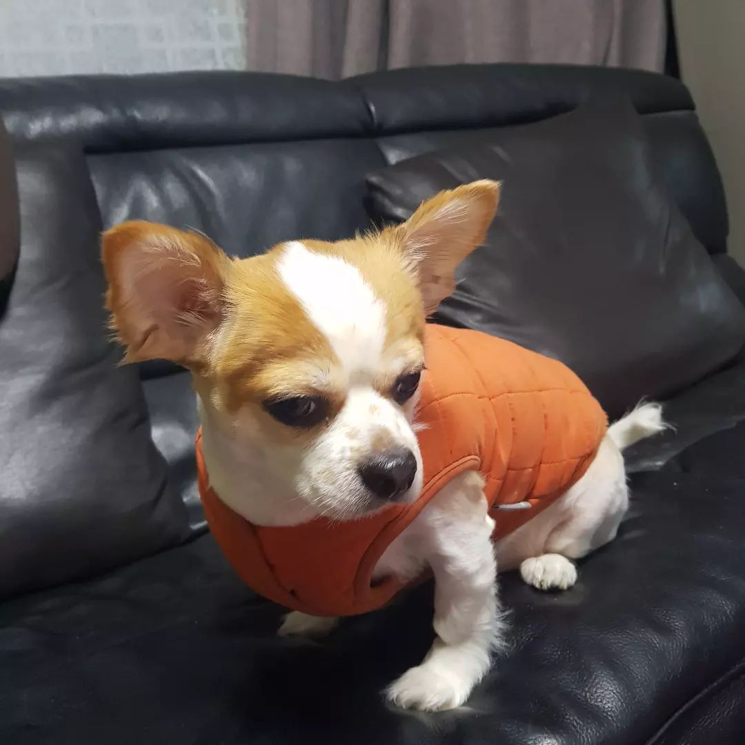 십이.
졸귀뚱