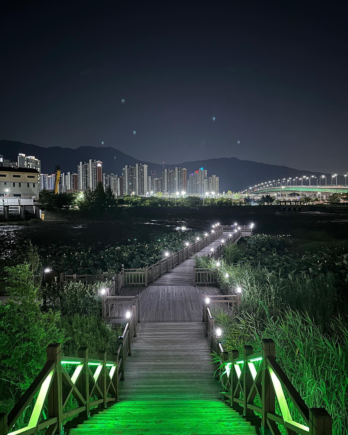 #양산 #일상
#산책 #양산공원 #양산한달살기
.
경남 양산은 걷기좋은 공원이 참 많다!
하루 한번 양산 밤 산책중!