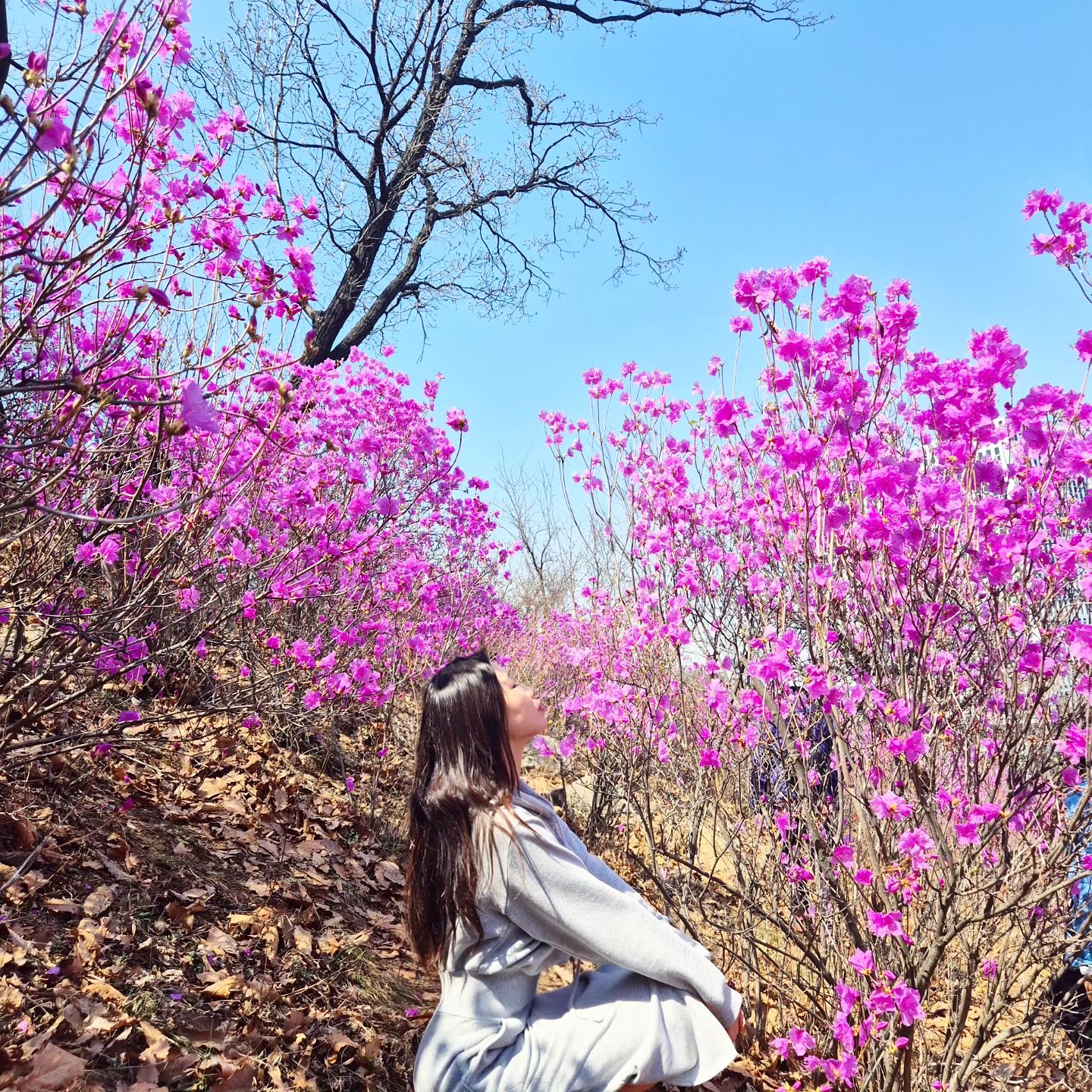 #알록달록아띠
진달래꽃축제 2일차
찐구랑 떠났던 날❤️
.
화전만들기🌺
크레페 맛이똥.
.
#진달래축제
#봄꽃축제
#일상 #daily