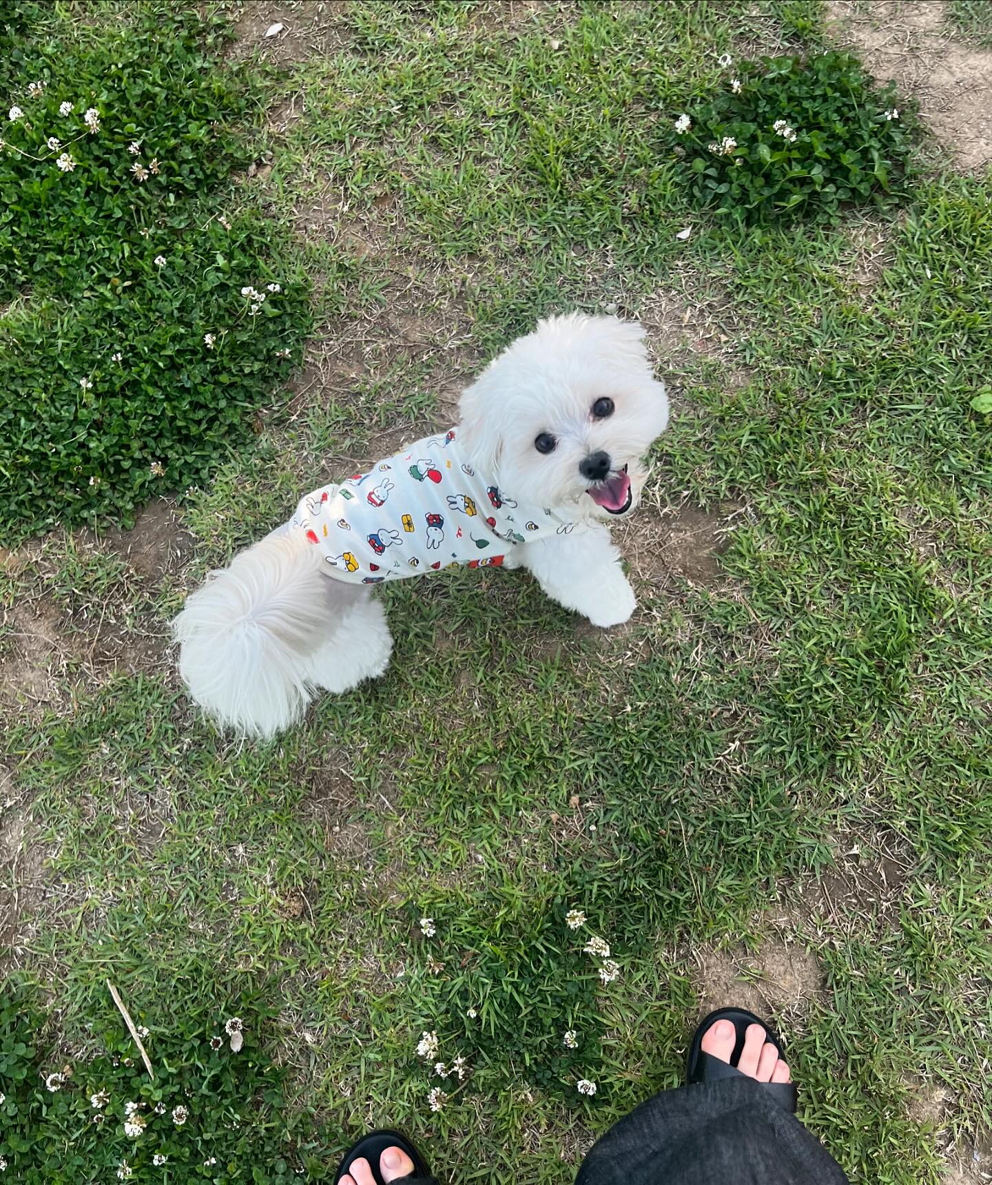 바보강아쥐🐶