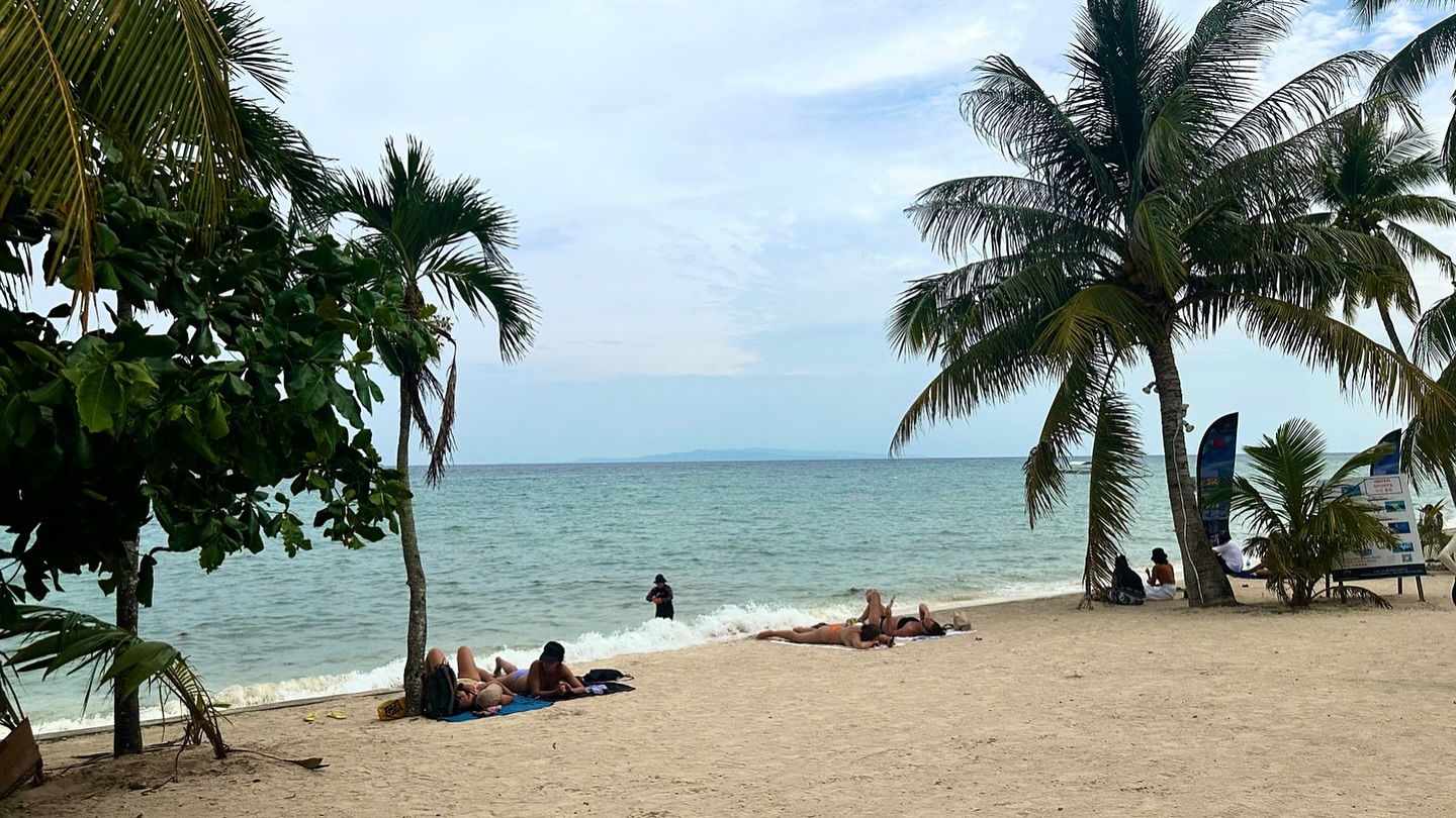 #alonabeach 🌊🌴⛱️