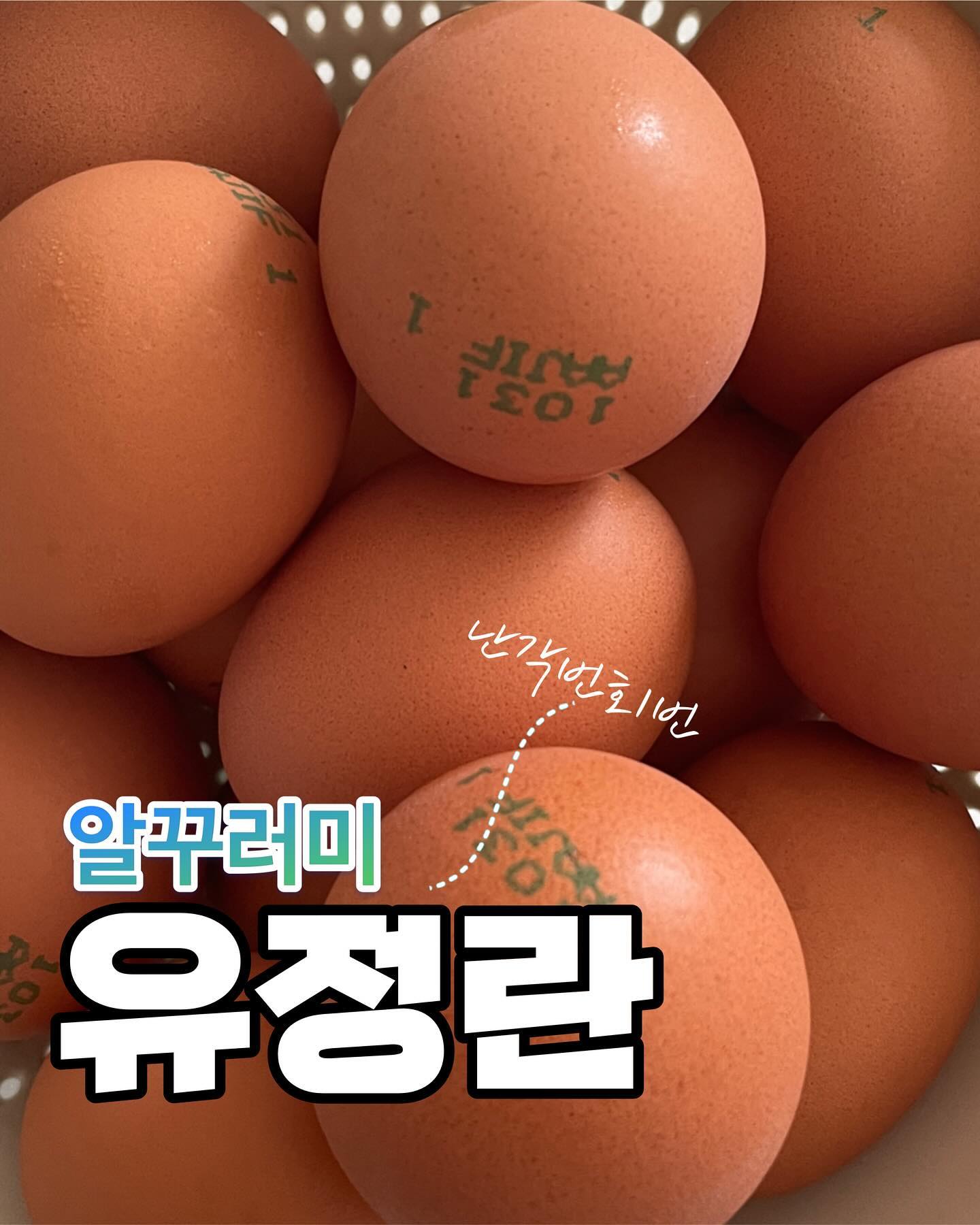 오늘 낳은 신선한계란이 우리집에 왔다 !!!🥚🥚

엄선된 사료만 먹고 자란 건강한 닭이
깨끗한 환경에서 자유롭게 뛰놀아 ㅅ ㅓ터레스를
받지않은 상태로 낳은 신선한 계란쓰!

알꾸러미 난각번호1번 유정란!!!!! 
천연 사료만을 먹고자라서 계란이 아주 탱탱쓰하고
좋은 영양성분이 가득하다구함 

이쑤시개를 꽂아도 쉽게 터지지 않고 
노른자의 구분이 뚜렷하당!

무항생제 무살충제, HACCP  등 각종
인증을 받아서 믿을 수 있는 계란이라 더욱더 안심! 

그렇다면 맛은…? 
신기하게도 비린내가 안나고 더 꼬소하고 맛남!
크으 건강한 계란은 다르구먼 😮

포장도 꼼꼼히 와서 안전하게 배송받을 수 있고
아이에게 마음놓고 건강한 달걀로 요리해줄수있어서
매우 좋았다 :) 

Thank you  ͡°  ͜ʖ ͡°
http://zrr.kr/cdln 

#업체로부터제공받은제품입니다 
#난각번호1번 
#동물복지유정란 
#천연사료 #알꾸러미 
#계란 #달걀 #계란요리
#NONGMO #달걀요리
#동물복지계란