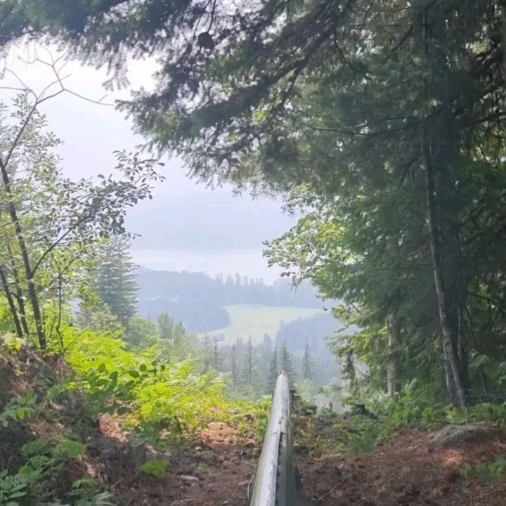 #banff 1일차

#thepipe #thepipemountaincoaster #banfflife #canada #vancouver