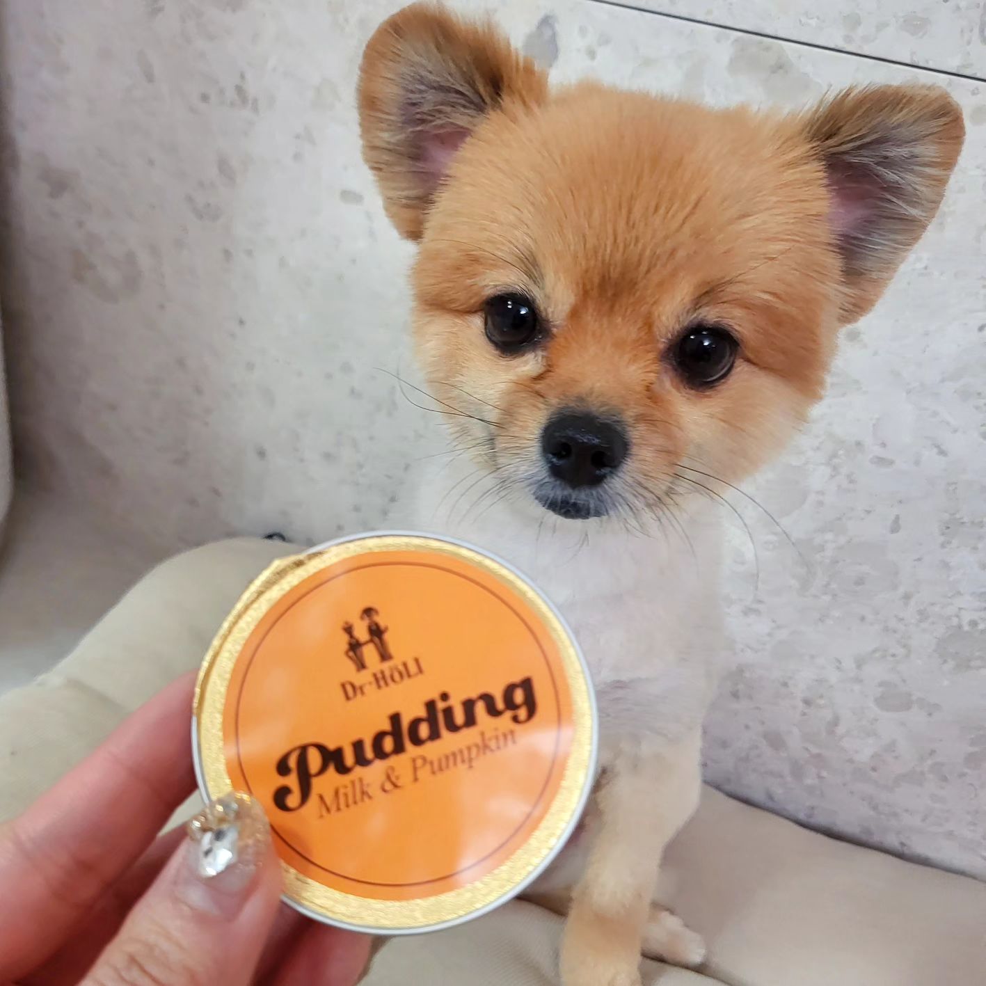 #협찬 drholipet
닥터할리푸딩🐶
Milk&Pumpkin

닥터할리푸딩은 반려견을 위한 영양 간식으로
치즈와 락토프리 우유를 사용한 저염 영양 간식으로
국내산 닭고기와 파마산치즈, 리코타치즈, 락토프리 밀크파우더와 단호박을 사용하여 깊은 풍미를 자랑하고, 기호성이 뛰어나답니당🤗
100% Human Grade, 그레인프리, 무색소, 무방부제에
낮은 나트륨 함량으로 부담없이 급여할 수 있어용
(나트륨 함량 : 일반간식 0.5%대>닥터할리 푸딩 0.1~0.2%대)

🍮단호박밀크푸딩은
풍부한 영양소를 가진 단호박 첨가하고
눈과 심장 건강에 도움을 줄 수 있는 타우린 첨가되어 영양도 풍부한데 울 쿠키도 맛나게 잘 먹어서 넘 좋아용👍
.
.
.

#닥터할리푸딩 #펫푸딩 #펫치즈푸딩 #강아지치즈푸딩 #강아지우유푸딩 #강아지푸딩 #강아지간식 #강아지영양간식 #강아지저염간식 #치즈푸딩 #우유푸딩 #리코타치즈푸딩 #파마산치즈푸딩 #단호박밀크푸딩#댕댕이그램 #댕스타그램 #포메스타그램 #김쿠키 #포메 #포메미용 #포메소통