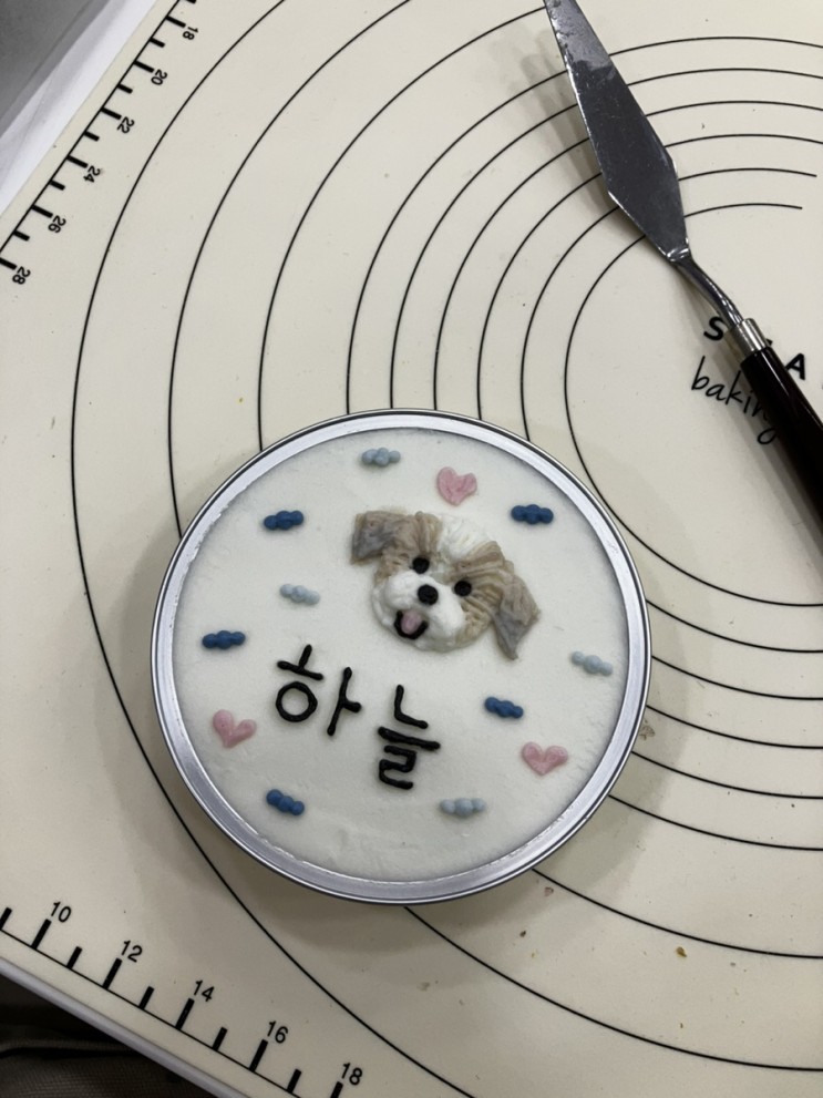 은평구 구파발 애견수제간식 ‘멍머니’ 원데이 클래스 후기