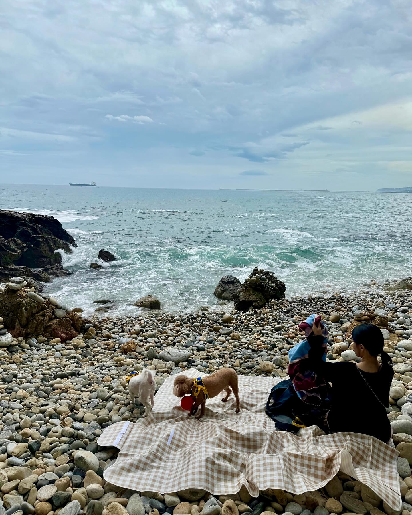 일년 만에 다시 온 동해 🌊🐳
내 차로 운전해준 민코 🤪♥️