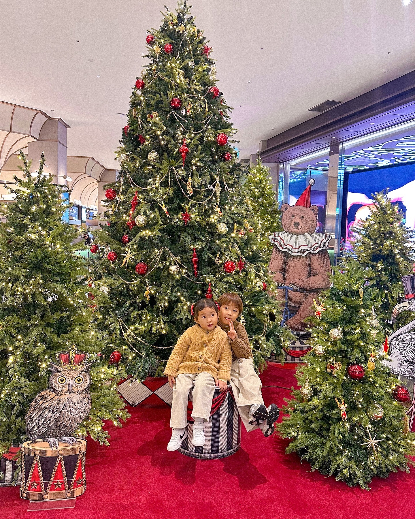 폭설로 등원못함 이슈,,
사부작 올려보는 트리피드🎄