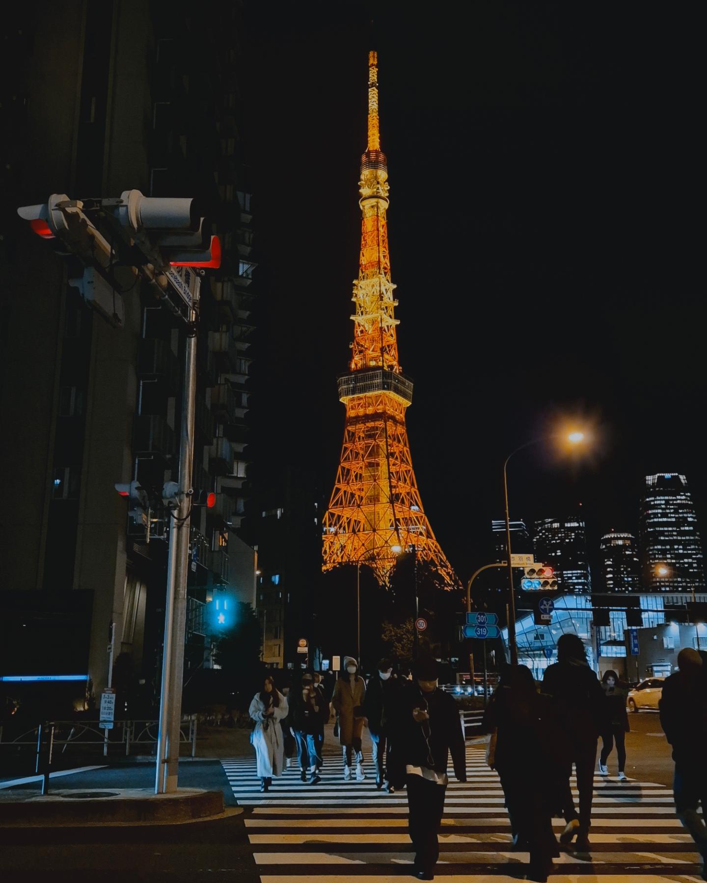 ˚ꯁ*₊.·˖東京の夜.·˖*‪₍ᐢ•ﻌ•ᐢ₎ꨄˎˊ˗