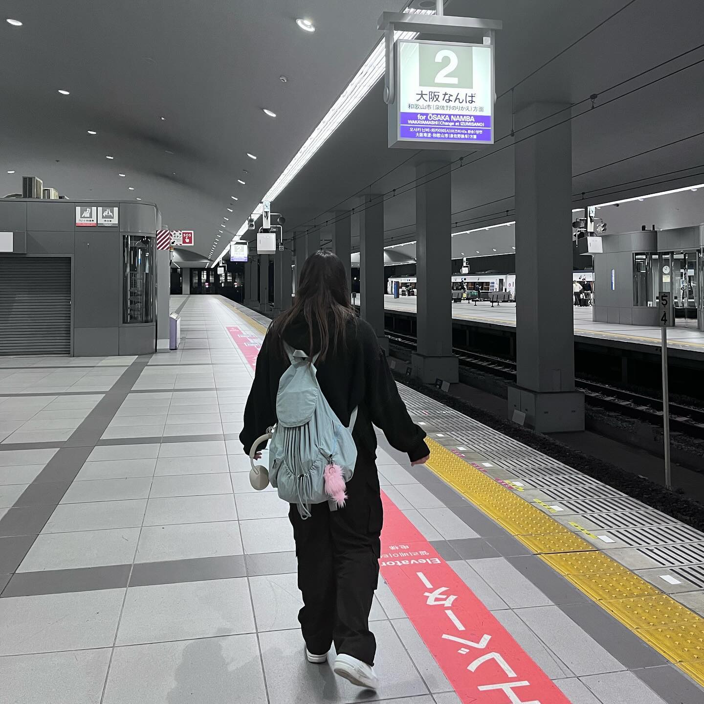 🇯🇵