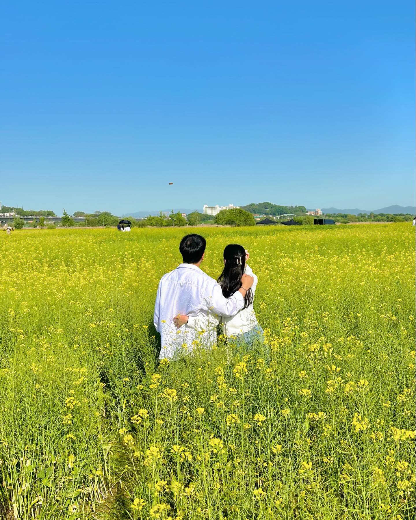 완벽한 유채꽃밭 나들이🌼
아저씨분께 부탁드렸는데 너모 잘 찍어주셨다..👍🏻