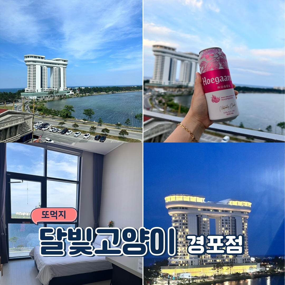 스카이베이+경포호 뷰 #달빛고양이 

가족과 함께 경포해변으로 떠난 여행, 
정말 잊지 못할 추억을 만들고 왔어요!🏖️ 
더워진 날씨에 강원도로 여행 많이 가실텐데
오션뷰, 위생, 위치 모두 마음에 들었던
달빛고양이 경포점을 소개해드릴께요❤️

✅ 스카이베이 + 경포호 멋진 오션뷰! 🌊 
특히 해질녘의 노을은 진짜 힐링🩵
✅ 최고위치 가성비! 
놀거리 먹거리 가득😆
✅ 최상의 룸컨디션 ✨
초깔끔! 필요한거 전부 구비🩵

달빛고양이 경포점 덕분에 
강릉 여행은 정말 힐링이었어요😚
다음에도 경포해변에 오게 된다면 
무조건 달빛고양이 경포점에 머물고 싶어요💕 

🔹 달빛고양이경포점
⭐️ horiyaa777 
📍강원 강릉시 경포로463번길 30-5 A704호
☎️ 0507-1414-7139

#가족여행 #오션뷰숙소 #경포해변 #달빛고양이 #가성비숙소 #힐링타임 #여름휴가 #추억만들기 #완벽한여행 #가족과함께 #강릉경포숙소