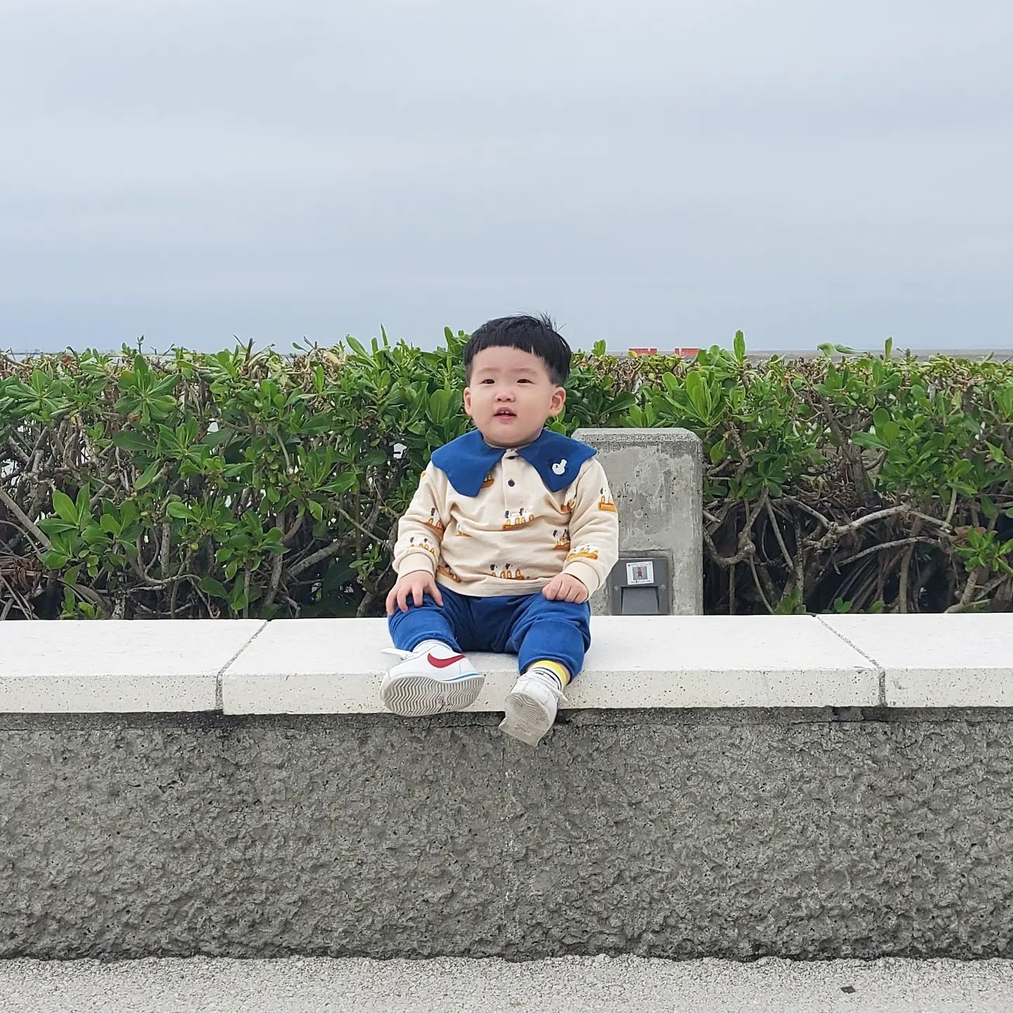 500일 기념 지난 여행 기록 🌏 500일 동안 크느라 고생했어 😇

#500 #500일 #흰소띠아가 #일본여행 #오키나와 #성오의여행