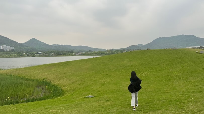 🍃