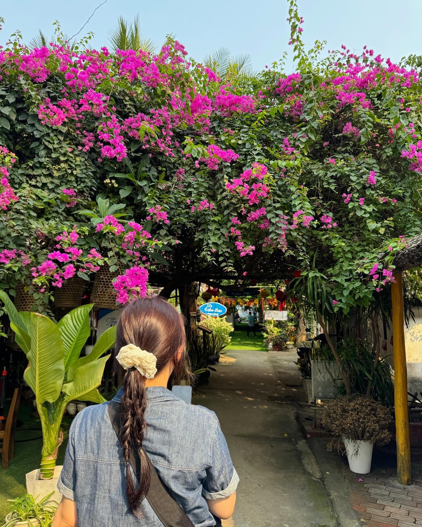 ⋆｡˚ ⋆｡˚ ❁