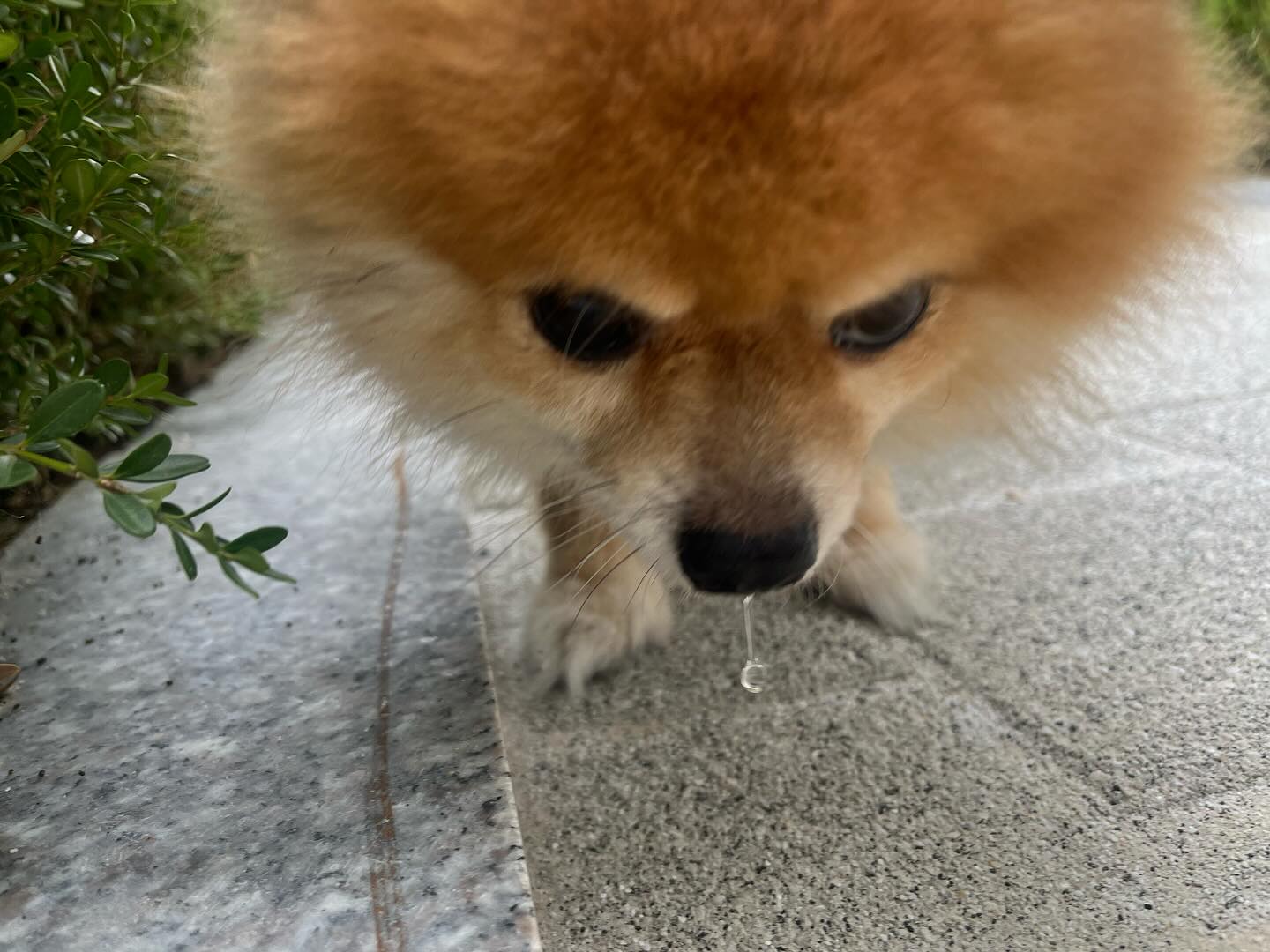 😍😍💕ㅠㅡㅠ