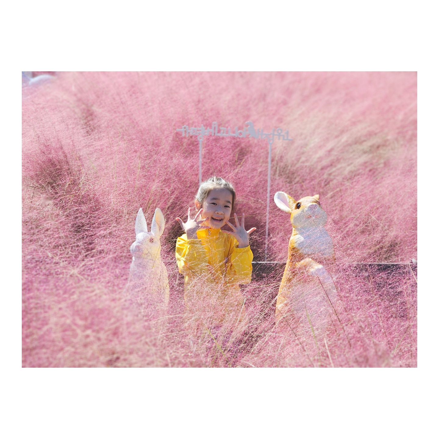 우리집 2호♥︎

#지민이일상⁣
⠀⁣

⠀⁣
사진 좀 찍으려면
한결같은 너의 포즈 ♥︎

다음에 또 가쟈 ♥︎
⠀⁣
⠀
⠀⁣
•͈ᴗ•͈⁣
⠀⁣

#8살딸 
#지민스타그램 ⁣

 #가평베고니아새정원 #베고니아새정원
⁣
♥︎