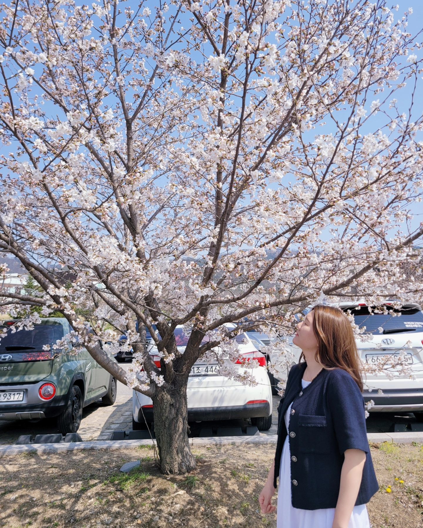 #협찬

봄봄봄🌸
봄맞이 나들이 다니기 딱 좋은 때 :)
꾸미고 싶은데 맨날 옷장엔 입을게 없닼ㅋㅋㅋㅋㅋㅋ

출산하고 흉통도 커져버려서..요즘옷은 왜 다 작게나오냐요..ㅠ
근데 미쏘 사이즈 L은 나에게도 넉넉해서 둘째 임신해도 여유롭게 입을 수 있을것같아서 너무좋음ㅋㅋㅋㅋ

트위드는 잘못입으면 부해보이는데 이거는 그런느낌 1도 없이.. 원피스에 가디건 느낌으로 입어도 이쁘고 청바지에 자켓으로 입어도 이쁘고 :)

금액이 부담가는 편도 아닌데 재질도 탄탄하고 소소한 단추나 넥라운드 마저 다 마감처리 깔끔!!! 역시 미쏘👍

지금처럼 낮엔 덥고, 밤에는 외투하나 걸쳐줘야할 계절에 부담없이 입기 딱 좋다❤️

트위드하면 긴 자켓만 생각했는데..반팔 트위드도 매력있어..🧡

mixxo_korea

#협찬 #미쏘 #미쏘티디 #봄코디 #데일리코디 #데일리룩
#오오티디 #트위드 #트위드자켓 #여름아우터 #봄아우터
#봄자켓