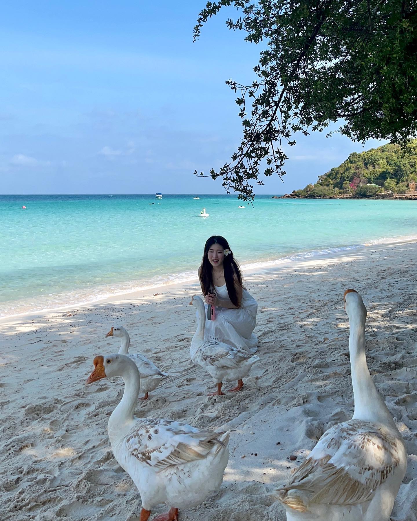 🦩🦩🦩

#tienbeach #kohlarn #pataya #thailand