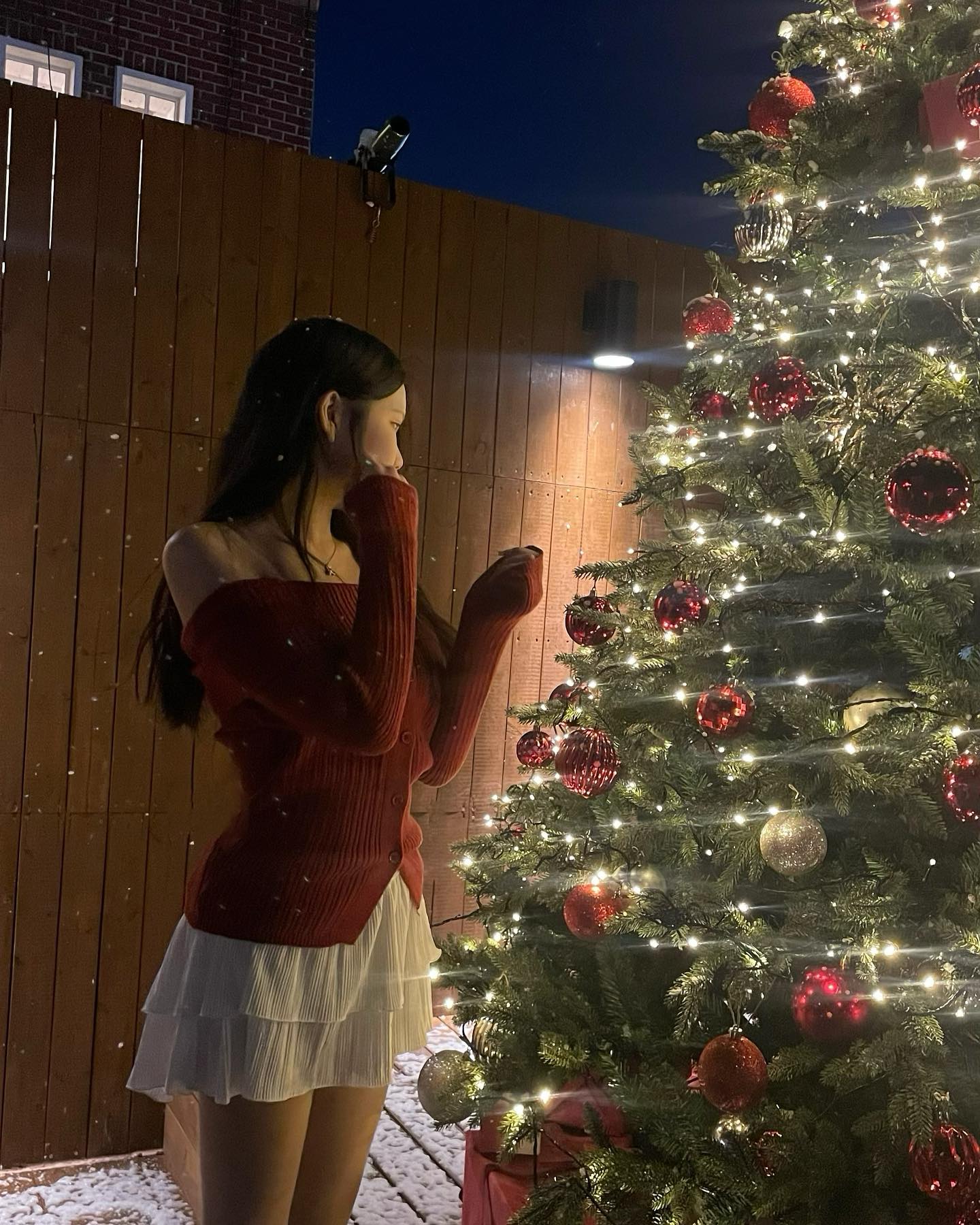 🎄