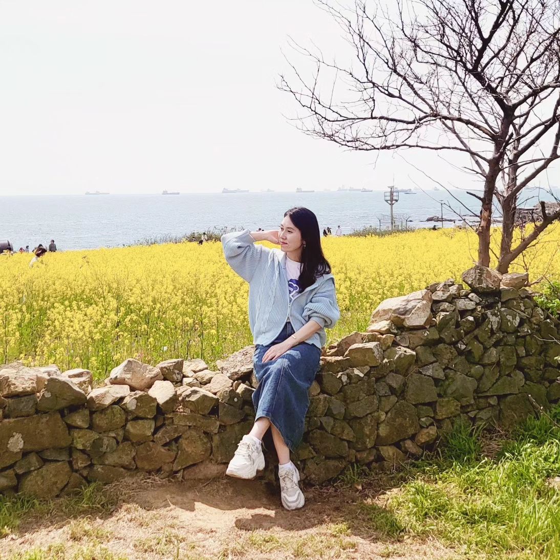 #협찬

벚꽃에 이은 꽃놀이 2탄!
유채꽃 가득한 이곳은 #슬도
봄마다 오게되는 노랑노랑~

☞롤루꽈배기 니트집업
봄에 어울리는 파스텔톤 가디건
소라,아이보리,핑크,민트,블랙

청치마에 흰티셔츠입고 소라가디건!
클래식하면서도 캐쥬얼한 투웨이 집업
봄에 넘 잘어울려~

clicknfunny_official

#클릭앤퍼니 #clicknfunny #데일리 #오피스룩
#캐주얼룩