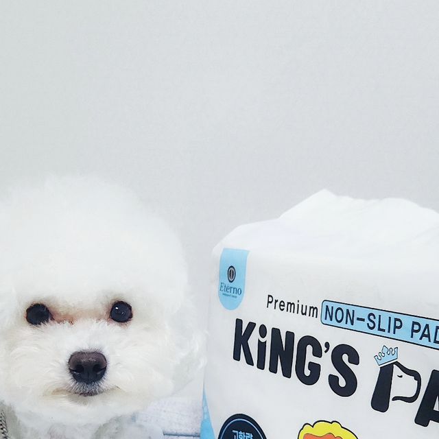  감자 on Instagram: "#협찬

감자가 킹스패드를 협찬 받았어요 👑

💛 중량대비 SAP 프리미엄 33배 , 오리지널 28배로 함량이 높음 
(높은 SAP함량으로 XXL같은 경우 6L까지 흡수가 가능) 

💛 탈취력 뿐만 아니라 소취력 94.2% 기능이 있음

💛 중량대비 SAP 함량을 가격적으로 타사와 비교하였을 때 1매당 소형사이즈 기준으로 프리미엄 17.5원, 오리지널 99.6원으로 매우 저렴 (자세한 내용은 상세페이지 SAP함량표 확인)

💛 최근 일본 방사능 이슈로 생활용품 방사능 체크로 품질 관리를 하는 
추세에 맞춰 방사능 시험 테스트로 완료 

💛 소취 테스트 완료 암모니아 94.2% 감소 (탈취는 냄새를 덮고 소취는 냄새의 원인을 제거합니다.)

💛 철저한 품질 검사 완료

💛 프리미엄 제품에는 “숯”이 함유되어 있어 탈취에 더욱 효과적

💛 타사의 경우 논슬립 패드가 프리미엄에만 적용되어 있는데 킹스패드는 전 제품 논슬립 적용

#광고#킹스패드#배변패드#강아지배변패드#배변패드추천#대형배변패드#강아지패드#킹스배변패드#애견배변패드#강아지패드추천#강아지#강아지패드#애견화장실#논슬립#두꺼운패드#프리미엄#특대형#강아지배변처리

👑
kingspad.offical"