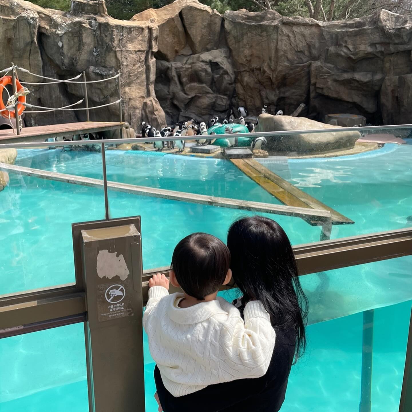 -
환상의 나라 에버랜드 약1년만?
유니가 좋아하는 이모들이랑
놀이기구 타고~🎢 꽃놀이하고~🌸
꼬윤 놀이기구 생각보다 잘 타서
짜식 좀 컸구마잉? 생각해씀 ㅎ

에버랜드 꿀팁은 뭐 없어
그냥 돈 내고 큐패스 사셔 다들
돈이 안아까우니께💰

글고 날씨가 아무리 따뜻해도
에버랜드 그 곳은 전혀 다른 곳..
바람도 많이 불고 해지면 그냥 겨울

패딩에 담요에 준비해 갔구만
꼬윤 열감기 걸려서...
수액 맞고....따흑🥲

담엔 아빠랑 가자잉?
.
.
.
#고윤 #35개월아기
#에버랜드#에버랜드튤립축제#에버랜드사파리#놀이동산#아기랑여행#육아#육아일기#육아맘#육아기록#아들맘#아들스타그램#용인#동물원#아기랑갈만한곳#아기랑나들이