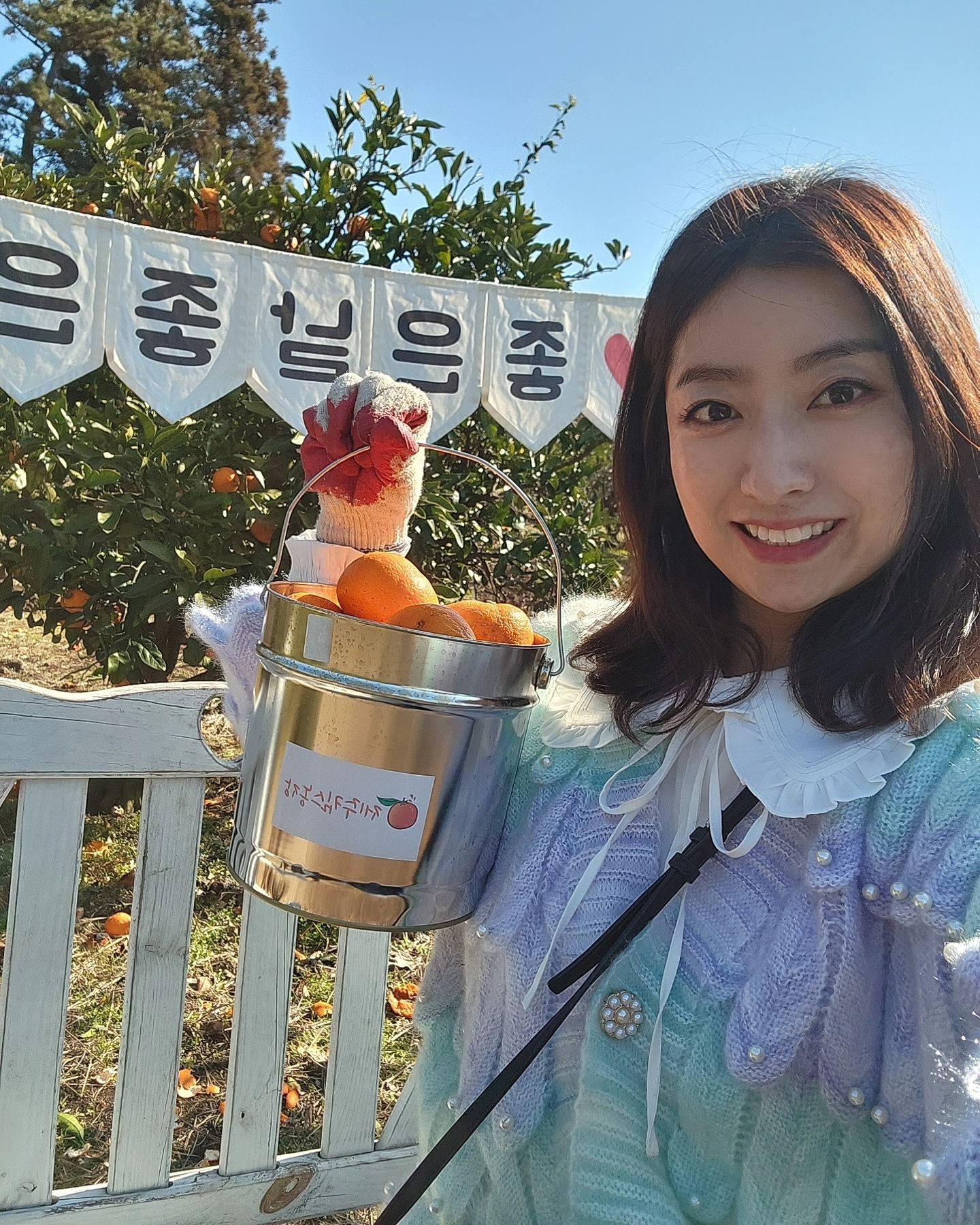 #제주4일차_지금,제주세요?? 
그럼 귤체험 꼬우🤟
감귤체험은 #제주킴스농장
사장님 츤데레십니다ㅋㅋㅋ
그리고, 제 인친이십니다ㅋㅋ

알아보시곤ㅎㅎ1킬로 더 따가라고 #감사해요!!
총5킬로 들고 나왔어요ㅎㅎ양이 꽤 많아요♡

숙소와 가깝기에 겸사겸사 들렸어요!!
귤도 실컷 먹고 귤따기 체험도 했는데
저는 진짜 단순노동이 잘 맞는것 같아요

여기서 귤따는 알바 하고싶다 하고싶다ㅋㅋㅋ
재밌더라고요!! 구름이랑도 맬 놀고싶구♡
똑~하면서 잘라낼때 기분이 좋아요!!!

체험 끝나고,아이들과 구름이 산책도 시키고
구름이 집에도 들어가보고ㅋ너무 즐겁게 놀다왔어요ㅋ
근데 세상에ㅋㅋ체험비를 안내고온거있죠ㅋㅋ

사장님 혼자 바쁘신것 같아서 조용히 나온다고
배려한게 민폐가 된 상황😅 (이체해드림ㅋㅋ)

귤 진짜 새콤달콤하고 5.000평 농장이라
엄청 넓고 중간중간 포토존이 있어서
즐기기 좋은데~ 즈이집 시커먼 아들들이
사진을 안찍는다해서;;; 다 못찍...

제주 오면 또 들려야 할 곳이 생겼어요ㅎㅎ
구름구름 구름이  자꾸 생각날것 같아요^^

#제주감귤체험 #서귀포귤체험 #제주귤
#제주가족여행 #제주가족체험 #귤체험🍊