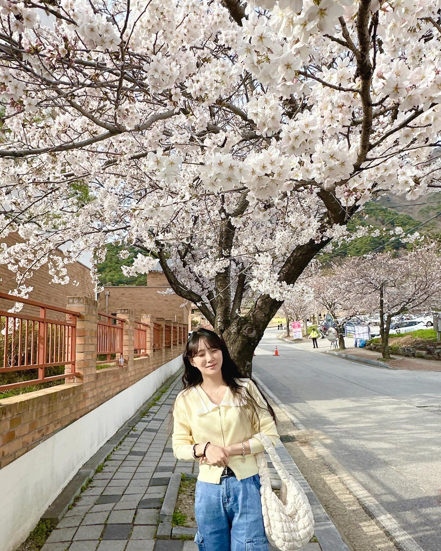 #고창 #고창벚꽃축제 🌸
#팝콘엔딩 벌과함께 촬영해서 진심 무서웠음