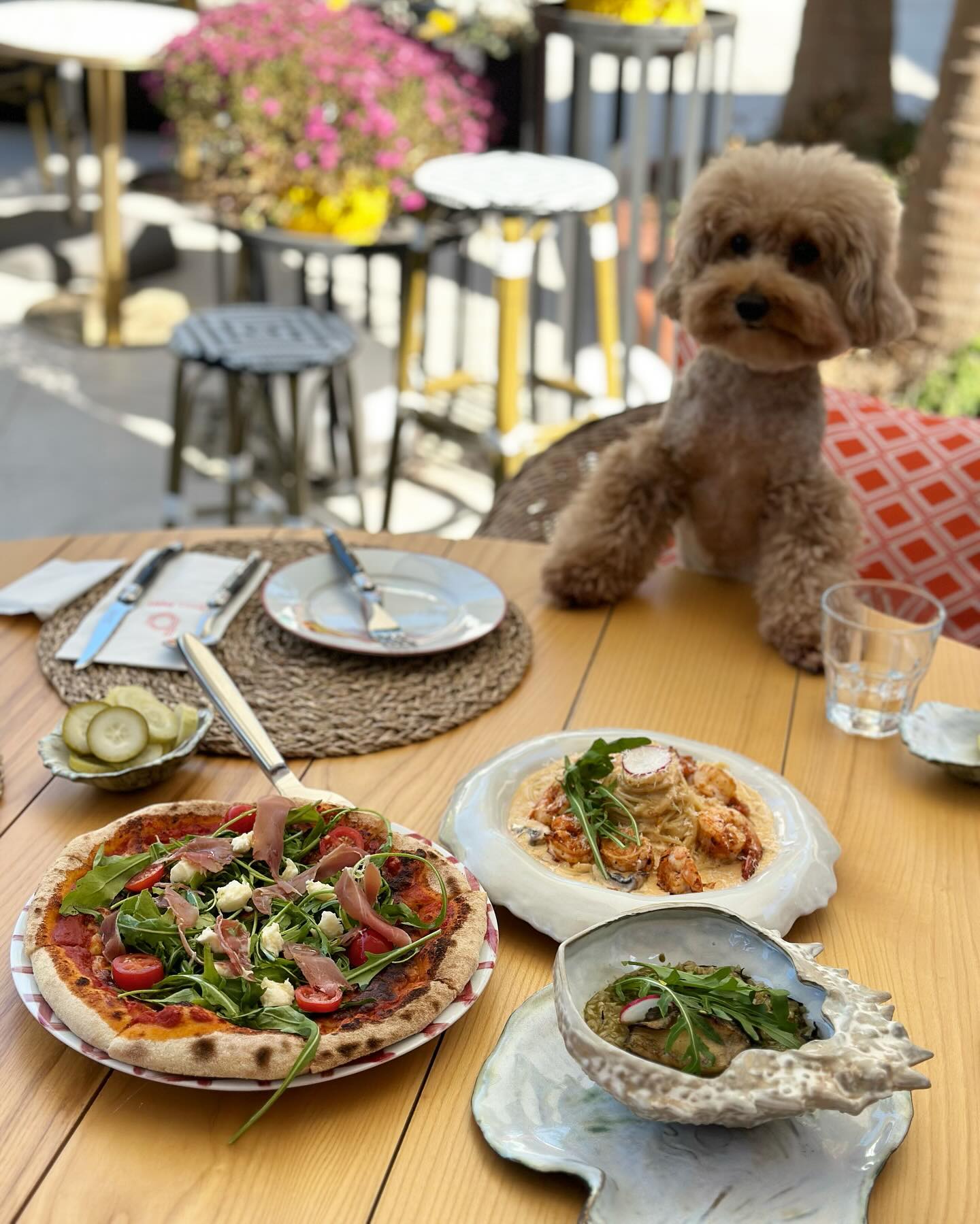 오랜만에 너무 좋았던
음식점🍴

본본레스토랑 진짜 강추!💗

신기커피 팬케이크도 
너무너무 맛있었다🫶🏻

#본본레스토랑 
#신기커피