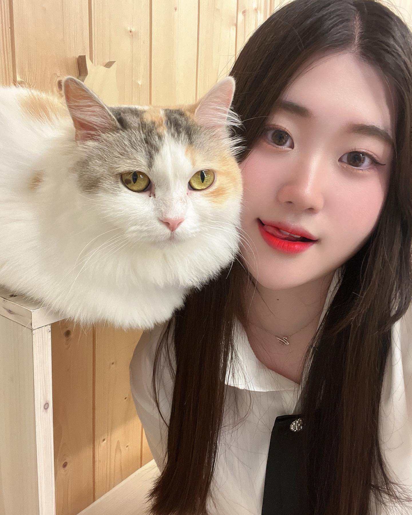 먐미들아 땨랑해 ฅ/ᐠ｡ ̮｡ᐟ\ฅ ❤️