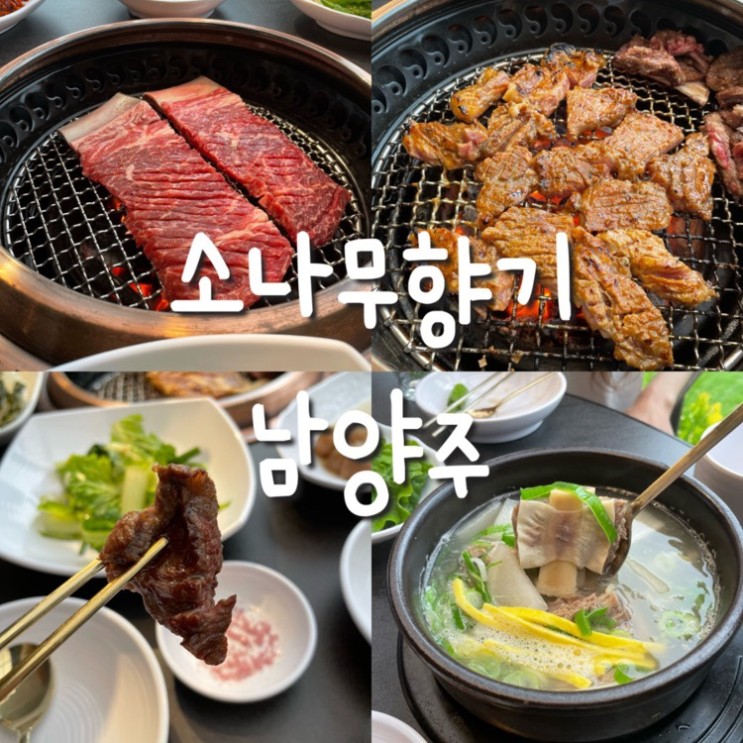: 남양주 맛집 : 소나무향기 남양주<소갈비/돼지갈비/갈비탕/막국수/리버뷰/화도읍맛집/북한강맛집>