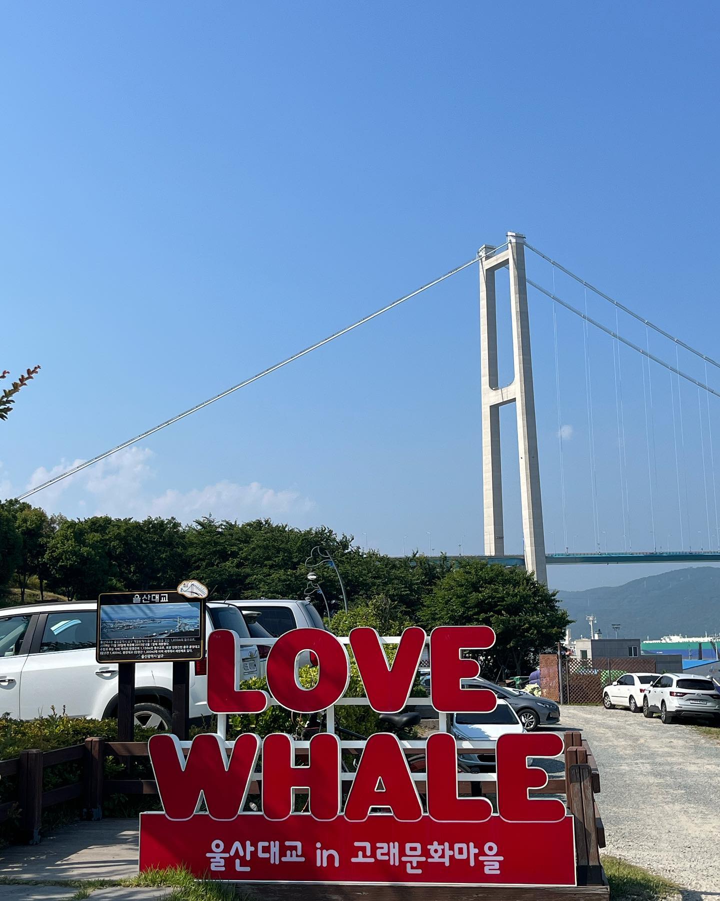 고래고래💙🩵🐳
수국수국💗🩷🌺

#장생포 #장생포고래문화마을 #장생포수국축제 #고래문화마을