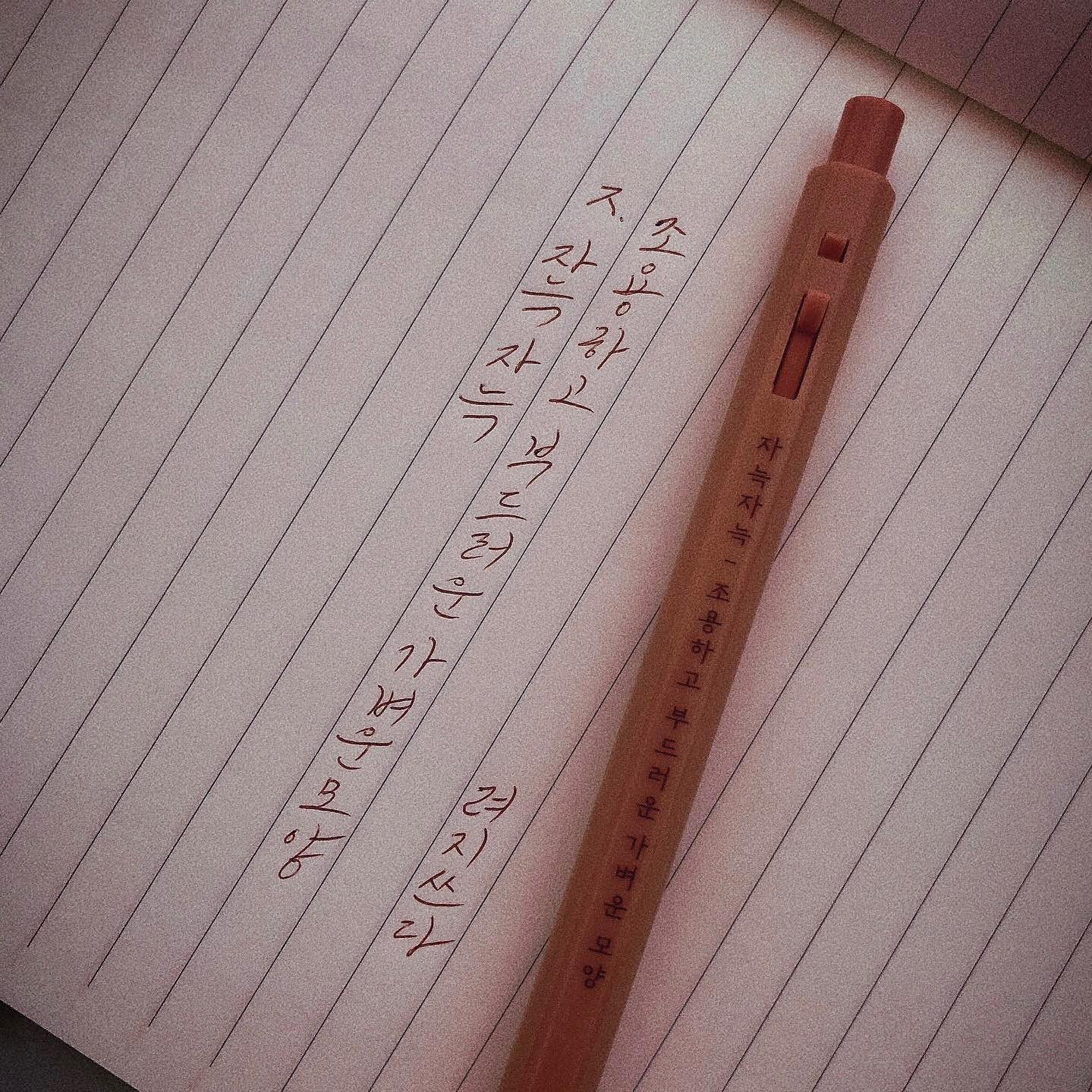 #한글날 기념 순우리말
자늑자늑 : 조용하고 부드러운 가벼운 모양
 
 
 
 
 
#려지쓰다
#모나미153