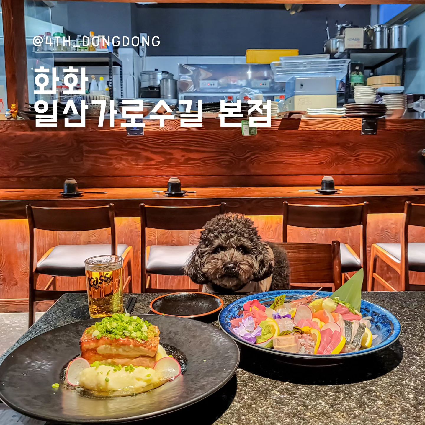 hwahwa_ilsan #화화

들어가자마자 인테리어보고 와~ 👀 감탄했던, 화화(🌸🔥)
심지어 요리도 맛있어서 또 한번 감탄!
(동동이 할미 만취해서 서울집까지 모셔다 드린 건 안비밀)

🥄한줄평 : 요리가 넘나 맛있어서.. 메뉴별로 리뷰한다 😍

🔸️통삼겹 짚불구이(부타니꾸)
부타니꾸를 시키면 영상처럼 멋있게 불꽃쇼 관람 가능 🔥
볏짚향이 가득한 통삼겹은 육즙이 그대로 남아있어 부드러웠어요 🤤
매쉬드 포테이토랑 함께 먹으면 진짜 너무 부드럽고, 사랑스러운 맛!
볏짚에 구워서 그런가(?) 먹는 내내 하나도 안느끼하고
먹어도 먹어도 자꾸 손이 가는 마성의 음식(?)
오사카 유학파 출신 사장님의 일본식 짚불요리 🔥 
나의 원픽이었던 부타니꾸!

🔸️숙성회(모리아와세)
제철생선을 저온 숙성한 모리아와세 🌸
플레이팅마저도 너무 사랑스러워서 눈부터 행복했던..
특히나 참다랑어 등살에 볏짚향을 입힌 회는
어디에서도 먹어보지 못한, 정말 어나더레벨의 맛 👀
회 한점 한점 모두 신선했고 부드러워서 자꾸 술을 부른다 🍶 

이외에도
🔸️빠른 요리, 빠른 응대, 친절한 서비스
🔸️우드+블랙+플라워의 멋진 분위기
🔸️여러 서비스 등 모두 만족스러웠던 곳

조만간 친구들과 또 방문 예정 🤤

🍽화화 일산가로수길 본점
📍경기도 고양시 일산서구 주엽로 80, B동 209호
⏰️월~금 17:00~00:00, 토~일 17:00~01:00
📝반려견 동반 가능(개모차나 이동가방 필수 지참)

#킨텍스맛집추천 #킨텍스맛집 #일산맛집추천 #일산맛집 #킨텍스술집 #일산이자카야 #주엽역맛집 #대화역맛집 #일산호수공원맛집 #일산숙성회맛집 #일산숙성회 #일산가로수길맛집 #일산가로수길 #호수공원맛집