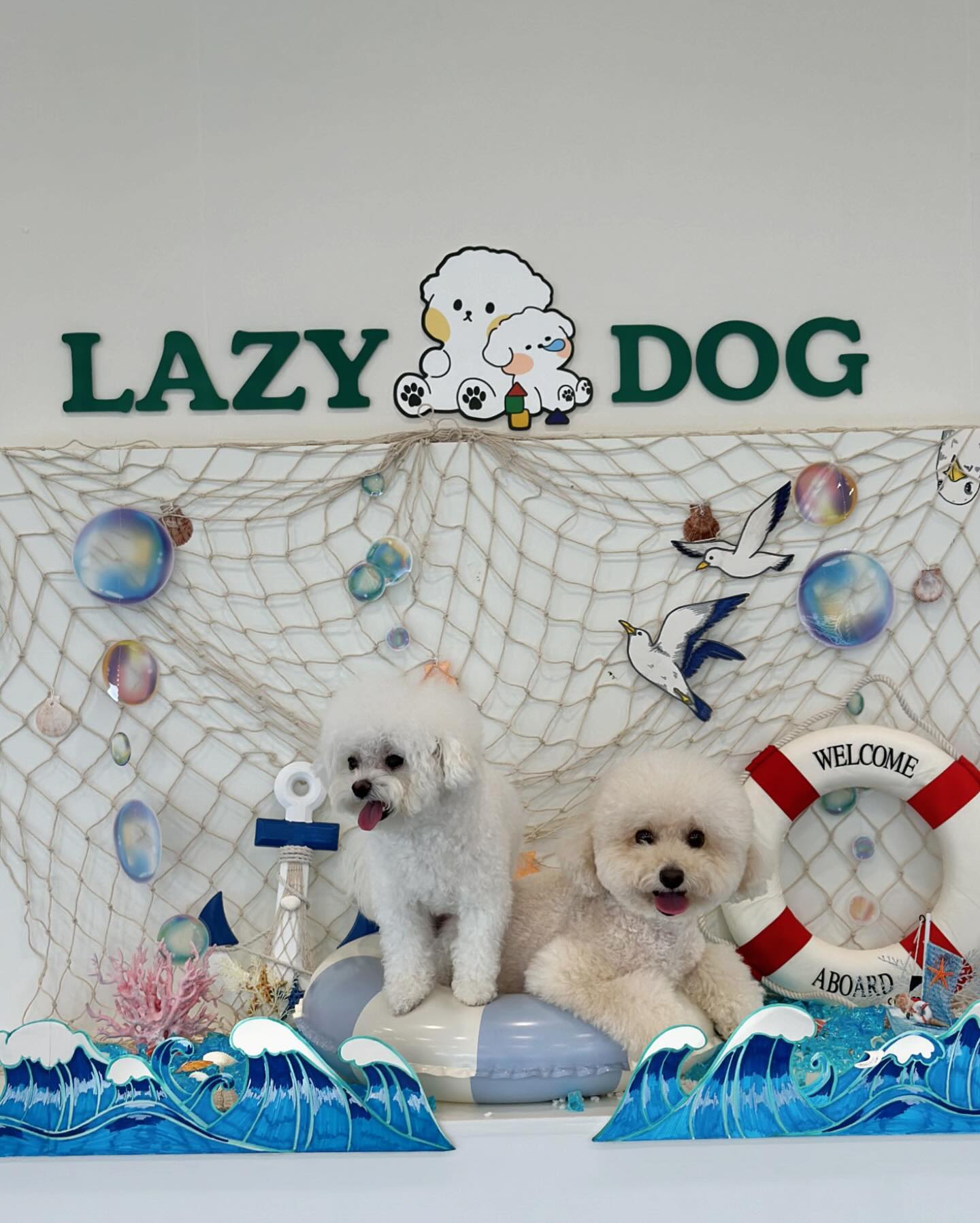 🐶🫶🏻

푸디뽀야네 알수없는 제한에 일주일동안
이러지도 저러지도,, 인터넷찾다가 겨우찾아낸방법 
프로필 링크지우기,,,🥺 
휴 🥹 칭구들 천천히보러갈게🥰

다들 푸디 걱정해줘서 고마워◡̎ 💖🫶🏻
이번주 토요일에 실밥만 풀면 끝이야❣️