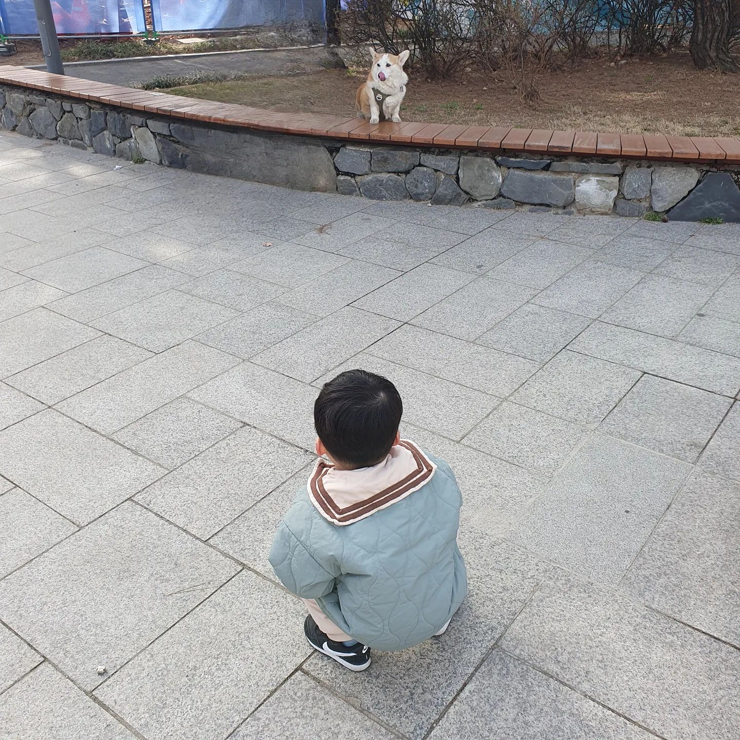 240317

멍멍아~~~~
(계속 부르기만함)

#강아지가
#귀엽고
#만지고싶고
#너무좋은데
#좀무섭기도한상태

#ㅋㅋㅋㅋㅋ 
#거리두기
#귀요미
#멍뭉이
#강아지
#주말그램
#산책그램
#instababies 
#instakids
#육아전쟁
#육아맘
#남매맘
#애그램
#맘그램
#주말
#공원
#산책
#육아
#추억
#남매
#일상