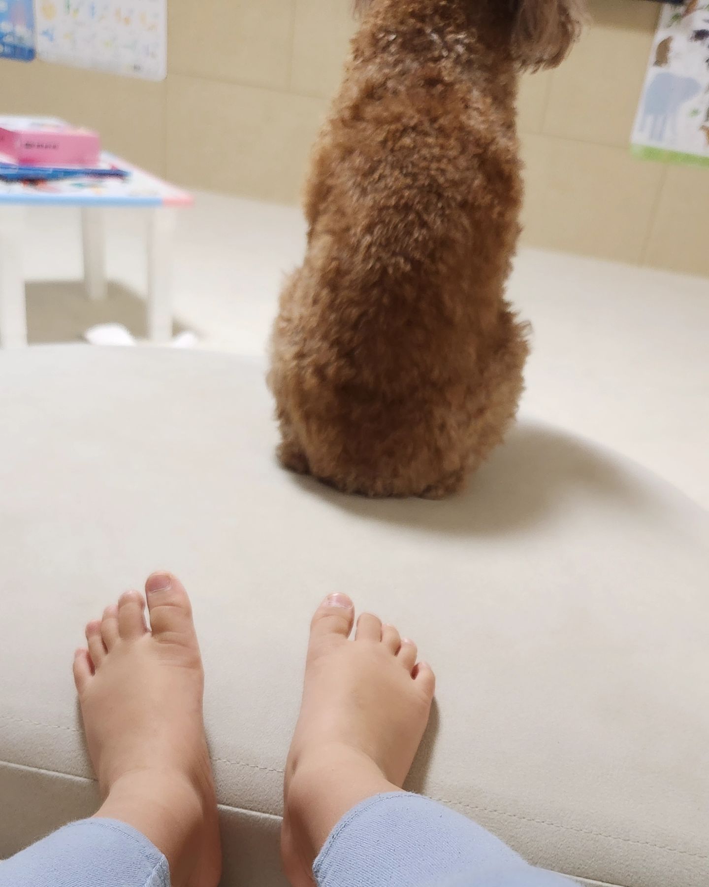 #사진장인

ㅋㅋㅋㅋㅋㅋ웃겨죽갔네 이런걸 또 언제 찍어놨디야

저번에 주말 아침 댓바람부터 나 자고 있는데 
엄마 똥 치웠어요 하길래 잠결에 뭐?? 똥???? 하고
다급하게 일어나서 보니

별이가 패드에 싼 응가 휴지로 야무지게 변기로 버리고 물 내리고
탈취제 까지 야무지게 뿌리고

파워당당하게 ㅋㅋㅋㅋ

응가 왜 치웠어?하고 물어보니 엄마 힘드니깐....

🥹 ❤

.........근데 주말에는 더 자 주말만 되면 댓바람부터 일어나 ☺

감성파괴 T 엄마 ㅋㅋ

#육아#육아소통#육아스타그램#애스타그램#육아일기#육아일상#육아맘일상#육아중#황금돼지띠#아들스타그램#아기와강아지#개엄마#애엄마#오늘의유아식#유아식#유아식반찬#아이반찬#아기반찬#아기먹방#아이먹방#아기모델#워킹맘#주말에아이와갈만한곳