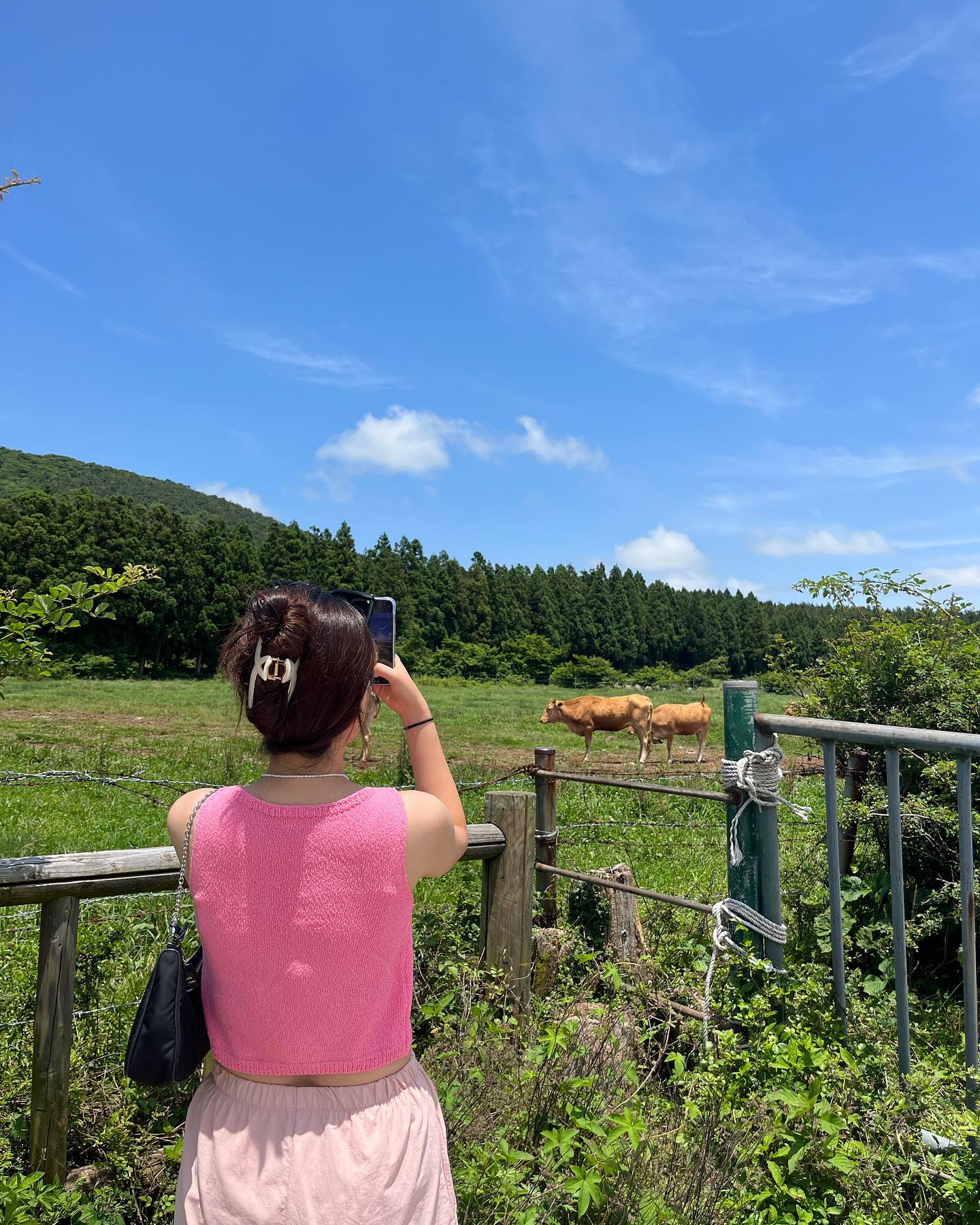 말보러왔는데 소가있네🐂