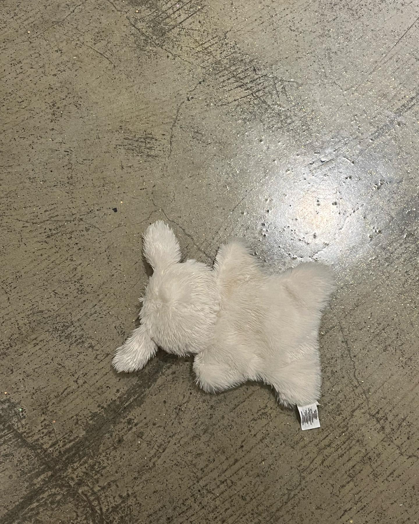 콘텐츠