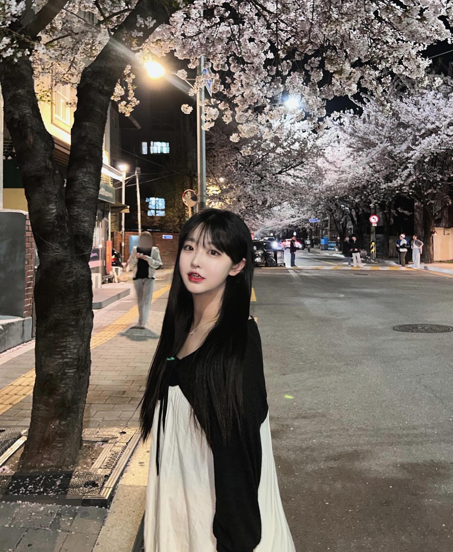 홈마 4명 벚꽃 잎 9장