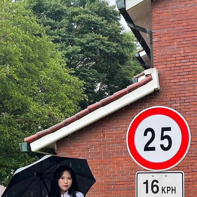지현이요 on Instagram: "가을비 쥬륵주륵🍂"