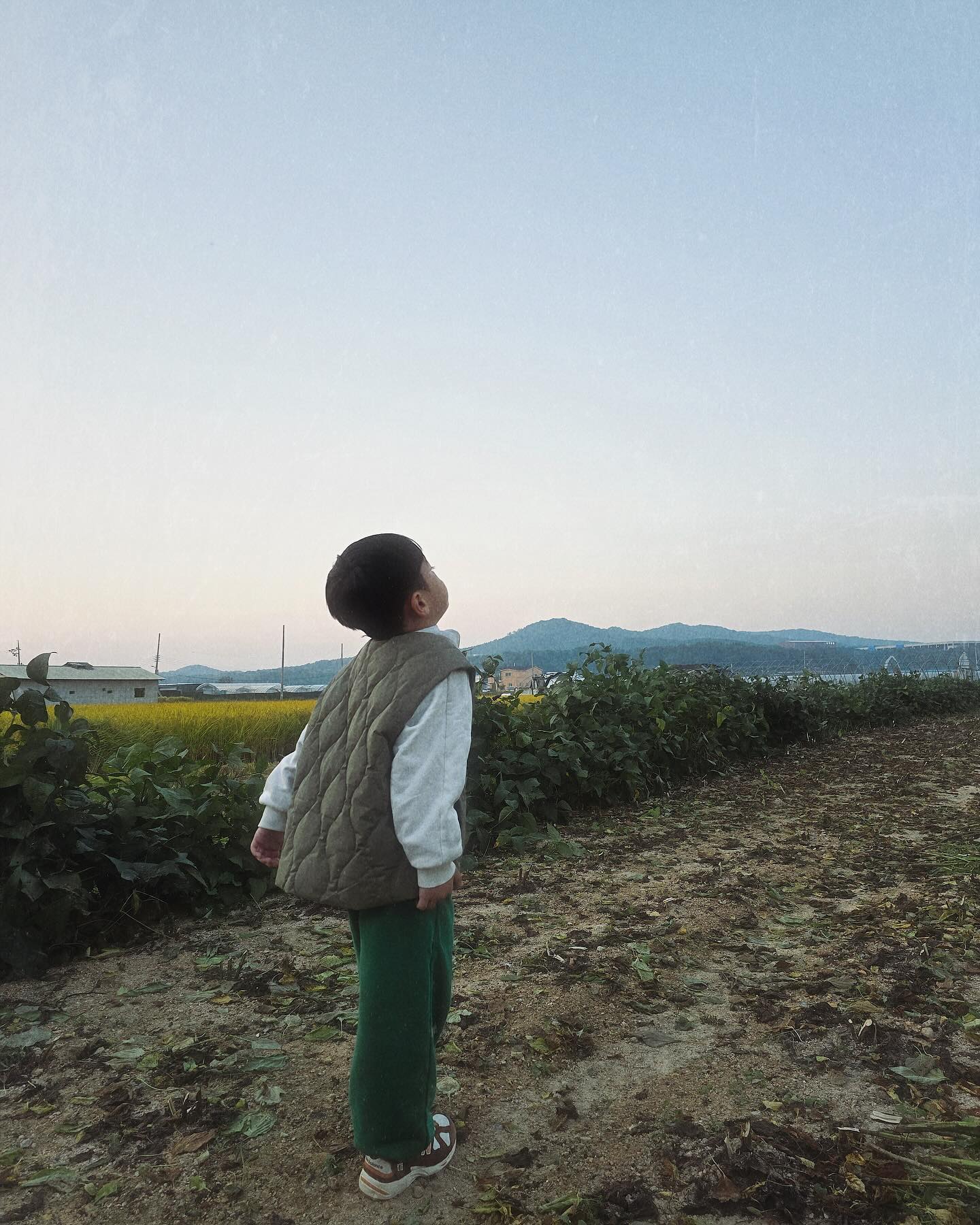 완벽한 시골 소년 소녀와 함께한 주말 🌿
언제 이렇게 컸어?!
연후가 너무 보고 싶어했던 콤바인과 함께 🌾