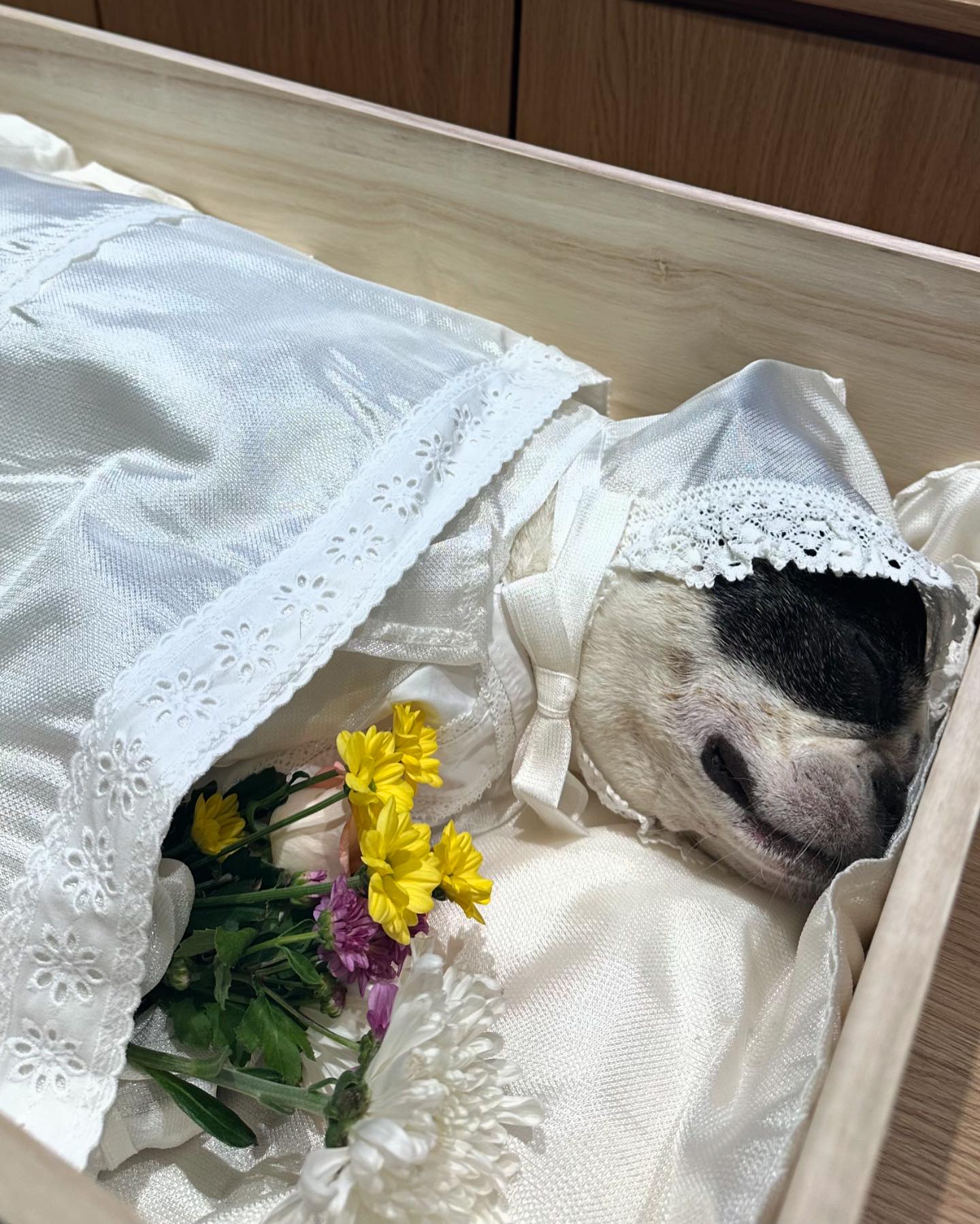 엄마 껌딱지 덕배찌
지금쯤이면 도착했을까?
노잣돈 올려놓기만 하고 정신이 없어서 같이 안 태워줬는데
도착 못하고 엄마 미워만 하고 있는 거 아니지?
덕배 엄마 없으면 밥도 못 먹고 물도 못 먹고 산책도 못하는데
거기선 잘 할 수 있을라나
근데 엄마도 덕배 없이 밥도 못 먹고 아무것도 못할거 같은데🥹
돈 벌어야 된다는 핑계로 맨날 일하고 못 놀아줘서 미안해
알러지 심하다는 핑계로 간식 많이 못 줘서 미안해
보낼 준비가 안 돼서 아픈거 알면서도 아직은 괜찮다 괜찮다 하면서
편하게 못 보내줘서 미안해
엄마 알아봤을려나 목소리 알아 들었으려나 사랑한다고 나중에 또 보자고
미안하고 고맙다고 내가 제일 많이 사랑한다고 들었을려나
이모가 다음생에는 거북이로 태어나서 아프지말고 오래 살아래
할머니 할아버지가 다음생에는 우리가족으로 처음부터 만나재
덕배야 다음생에는 꼭 처음부터 아프지말고 오래오래 같이 살자
이번에 못 해줬던 거 다음생에 전부 다 해줄게
엄마 이름 알려줬으니까 엄마 찾아서 꿈에도 가끔 나와줘
사랑해 이덕배 또 봐 ♡⁼³₌₃

16/07/15 ~ 24/08/25 PM 21:45