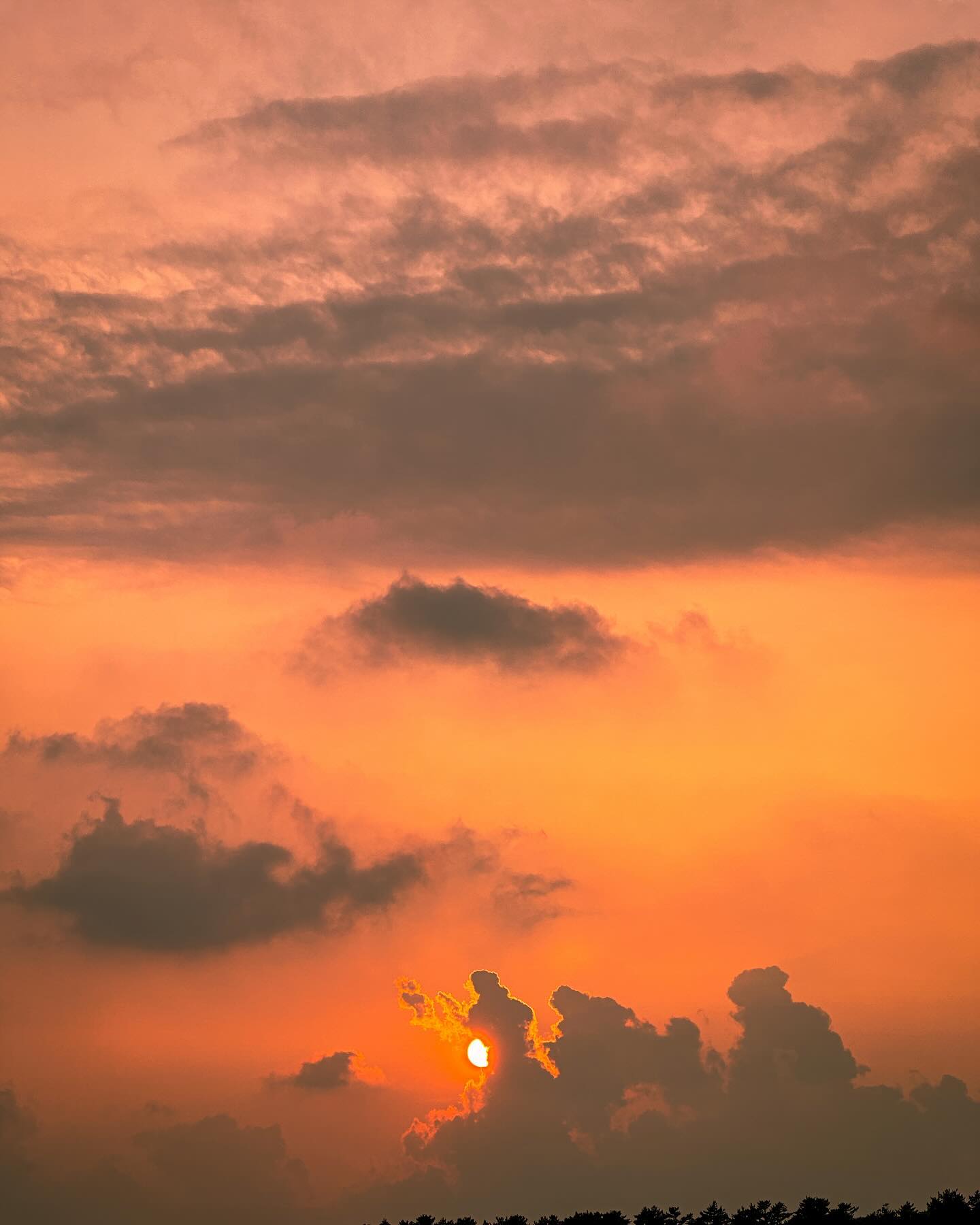 노을을 보면서 듣는 노래 
오 딩딩의 함께걷는시간 

사진 알려줄새럼~!
오름 같이갈새럼~! 
이번주도 토탁토닥 다음주도 화이팅!

#오늘노을 #서귀포노을 #아이폰사진 #자연사진 #노을사진 #sunset #주말순삭