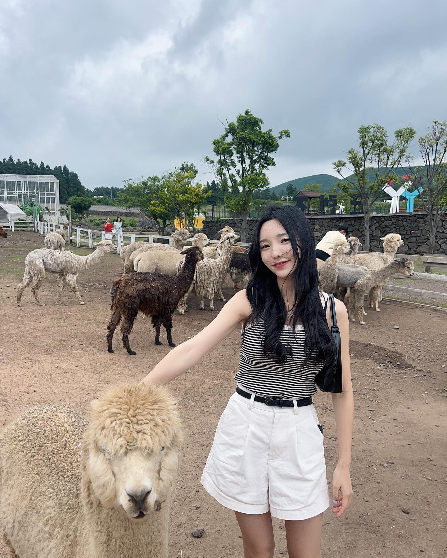 귀여운 애들 천지인 곳 🫶🏻..