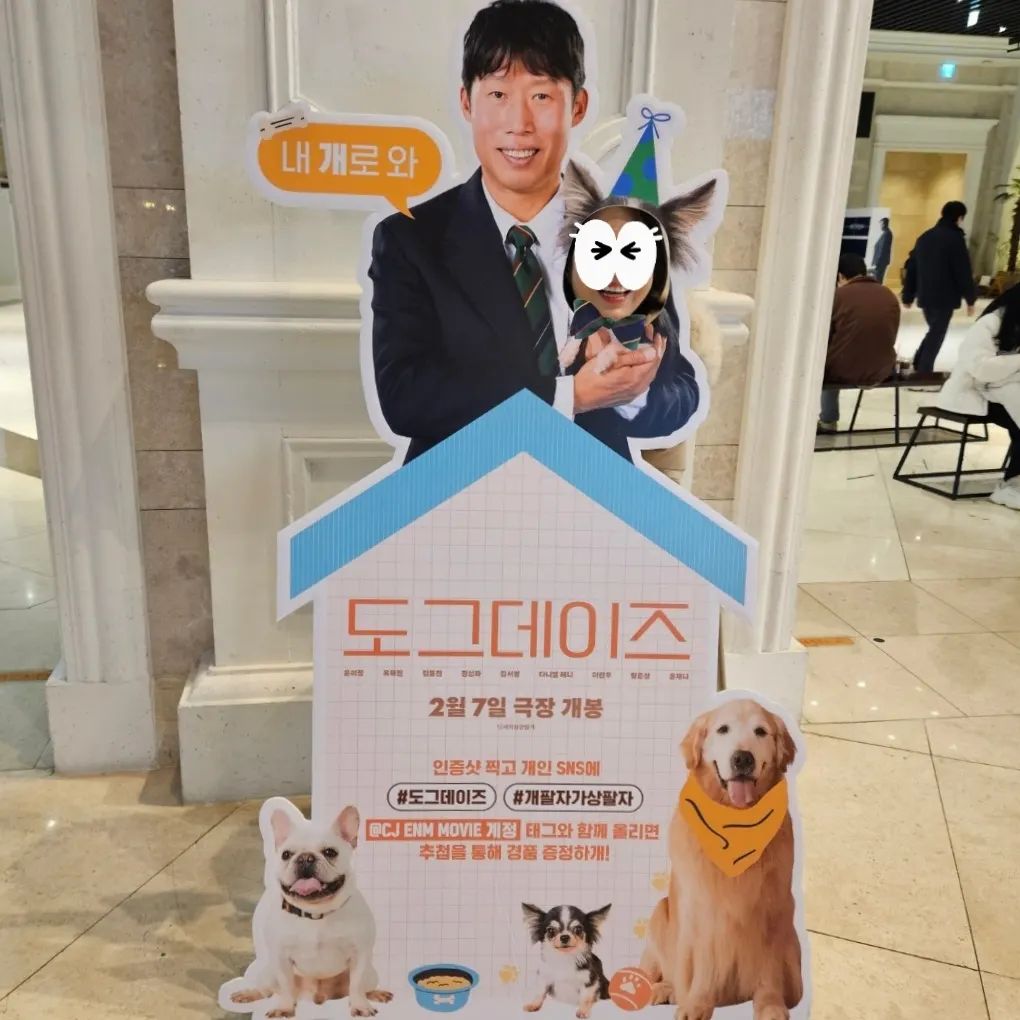 #도그데이즈 #개팔자가상팔자 

2월 7일에 개봉하는 도그데이즈 
미리 시사회 보고 왔다개 !! 🐶

울고웃고 울웃울웃 연속 🥹😂 
반려인이라면 꼭꼭 !! 꼭 보세요 

집에 있는 몽바 보고 싶어서 
영화 끝나고 호다닥 왔어요 ㅋㅋㅋ 

내 침대도 너꺼 
너 방석도 너꺼다~