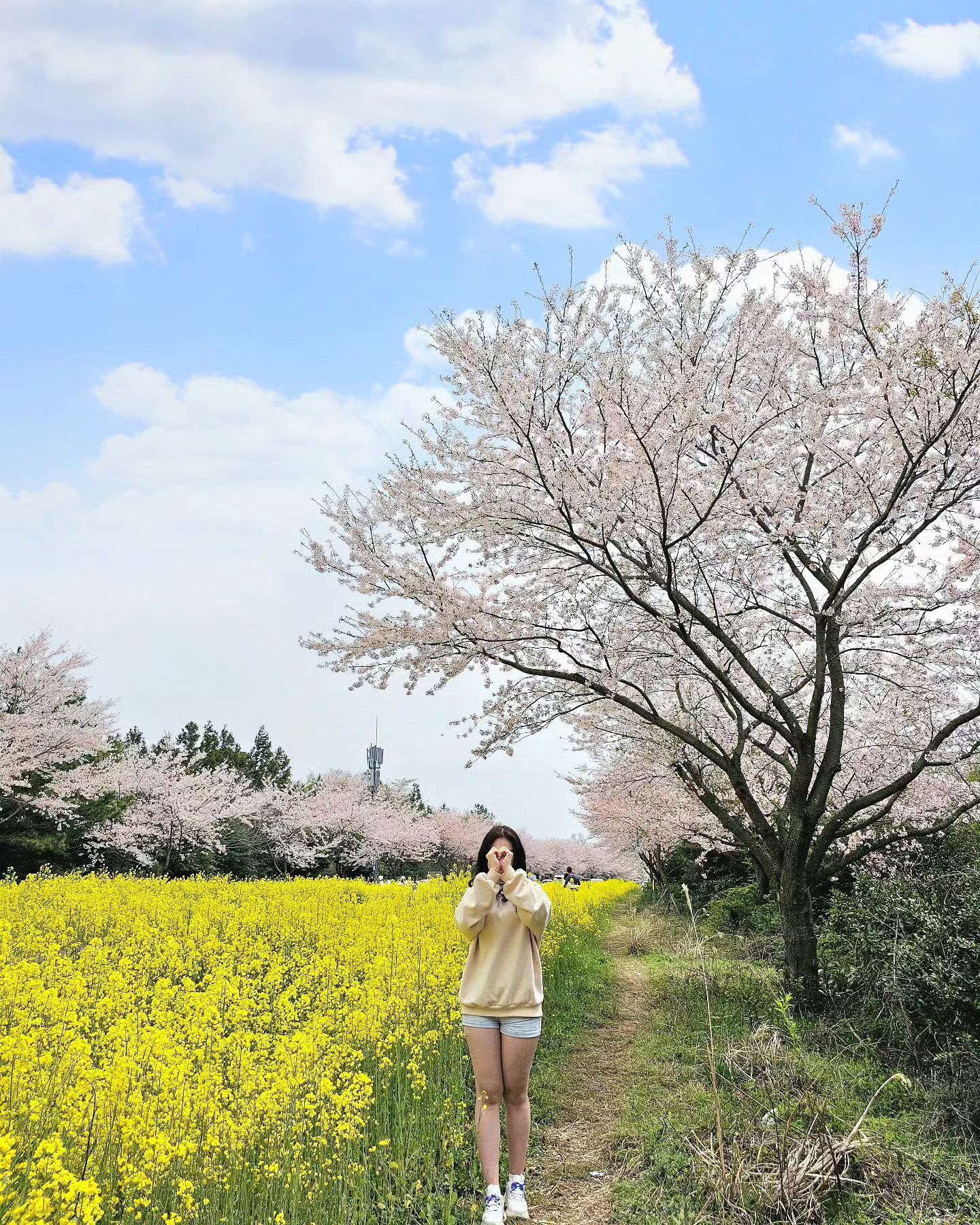 최애 꽃길🌸