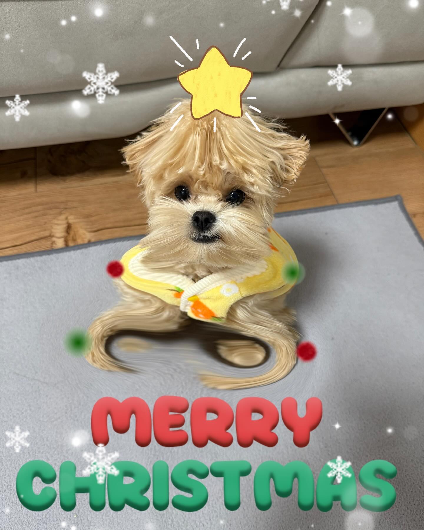🎄메리크리스망스🎄